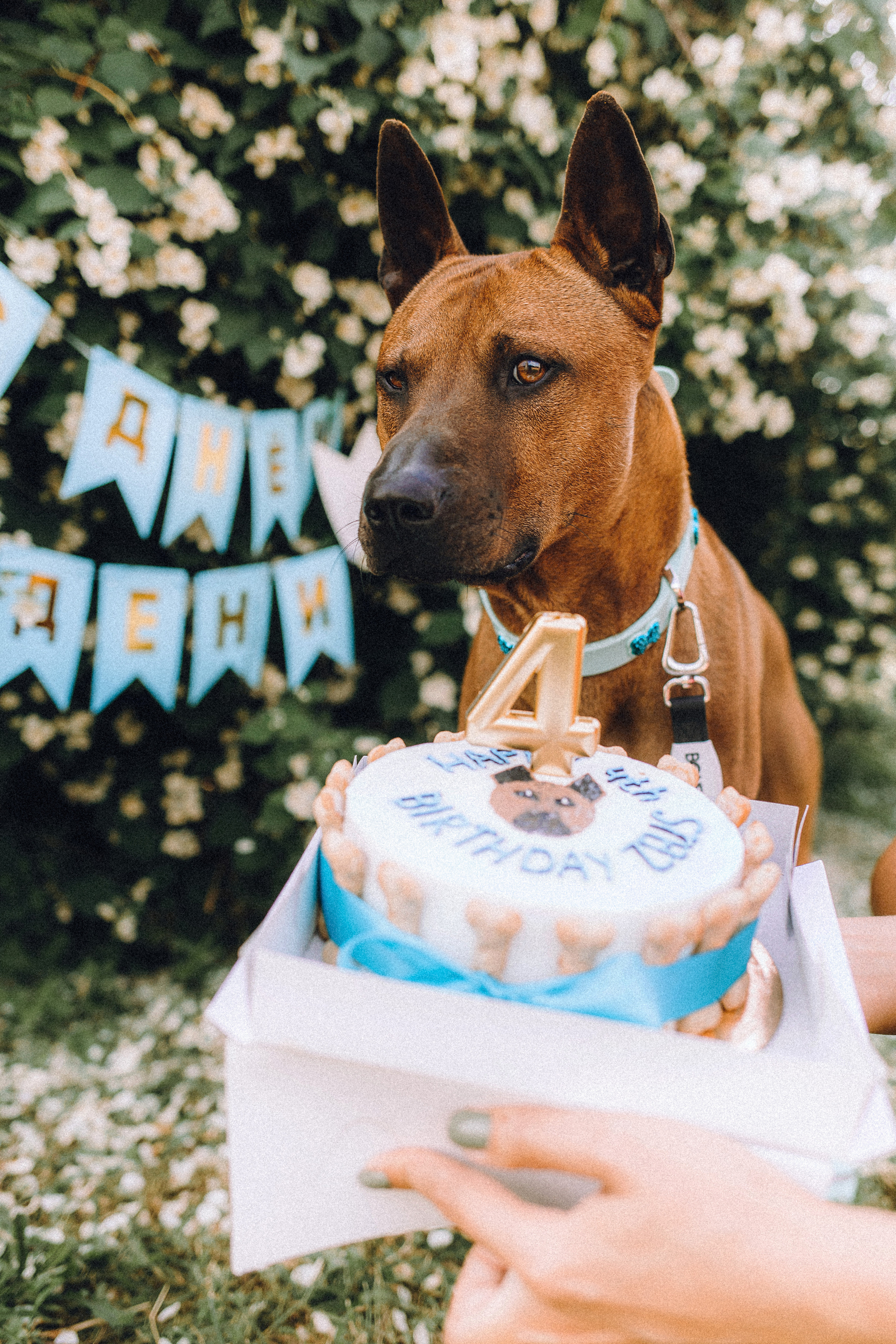 Оксана и Зевс