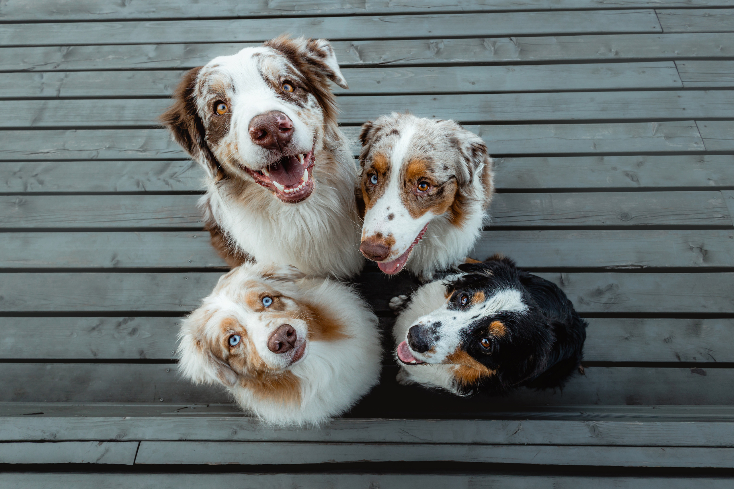 Маша и ее семья