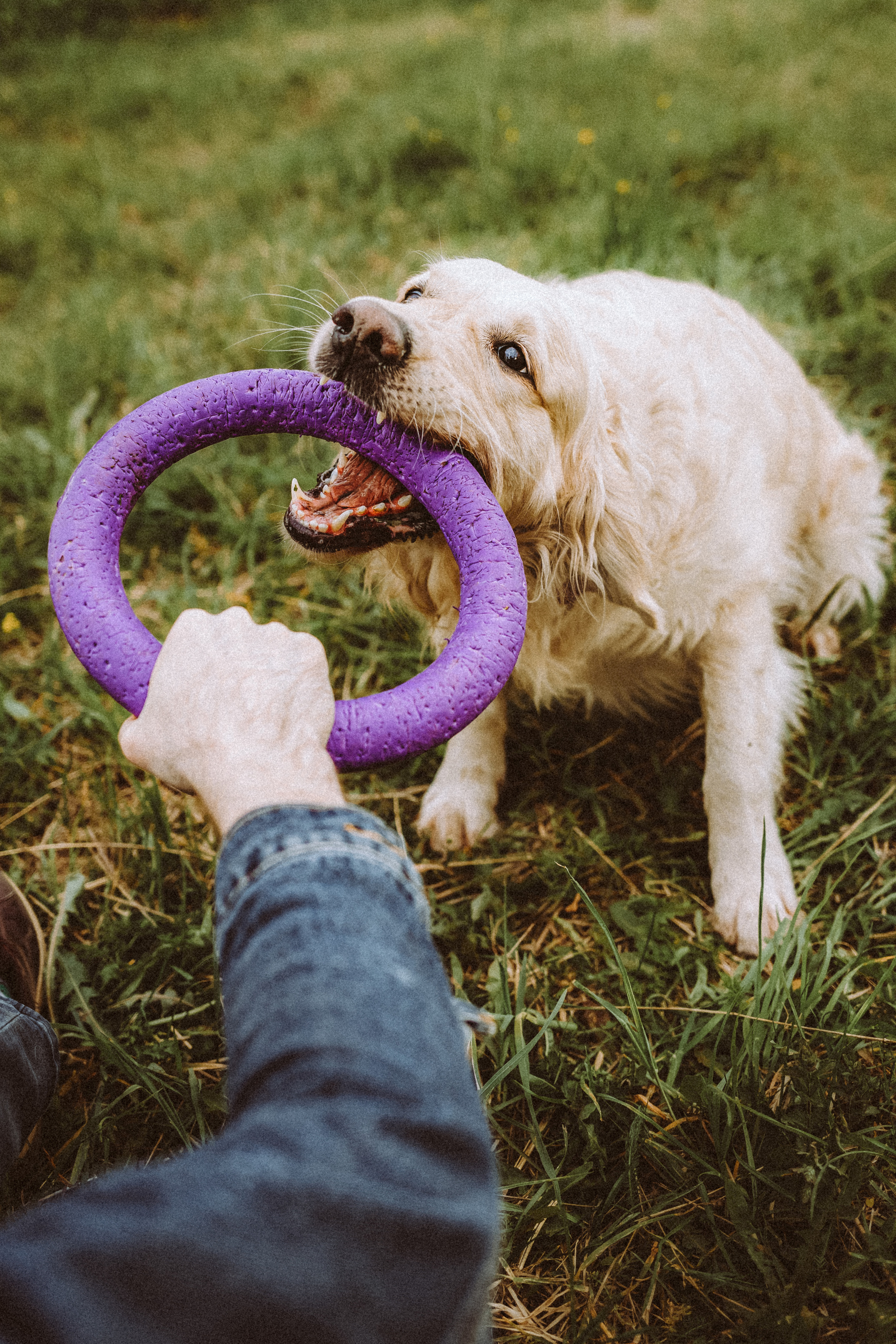 Джаз, Остин и их семья