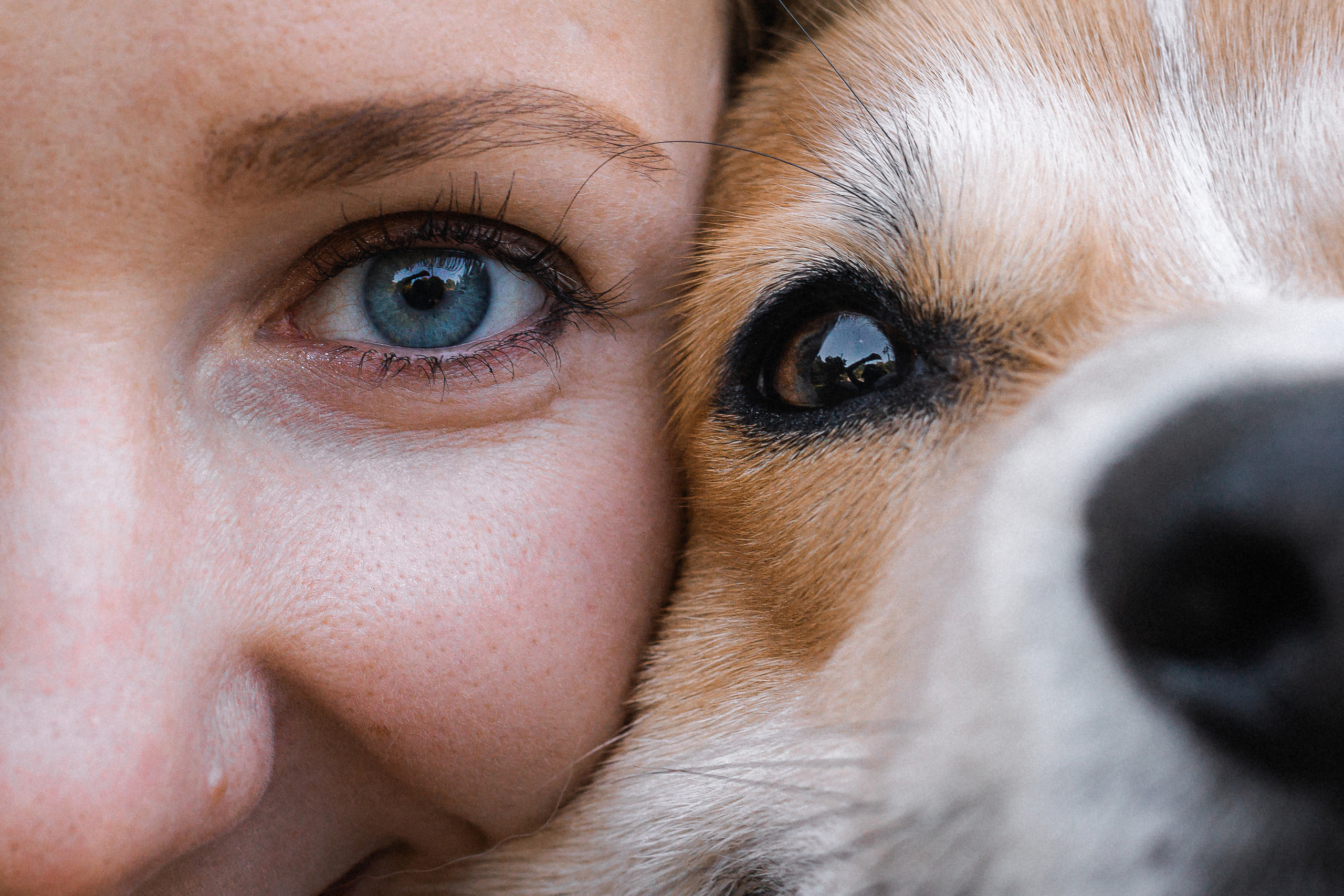 Вика, Глеб и Бадди