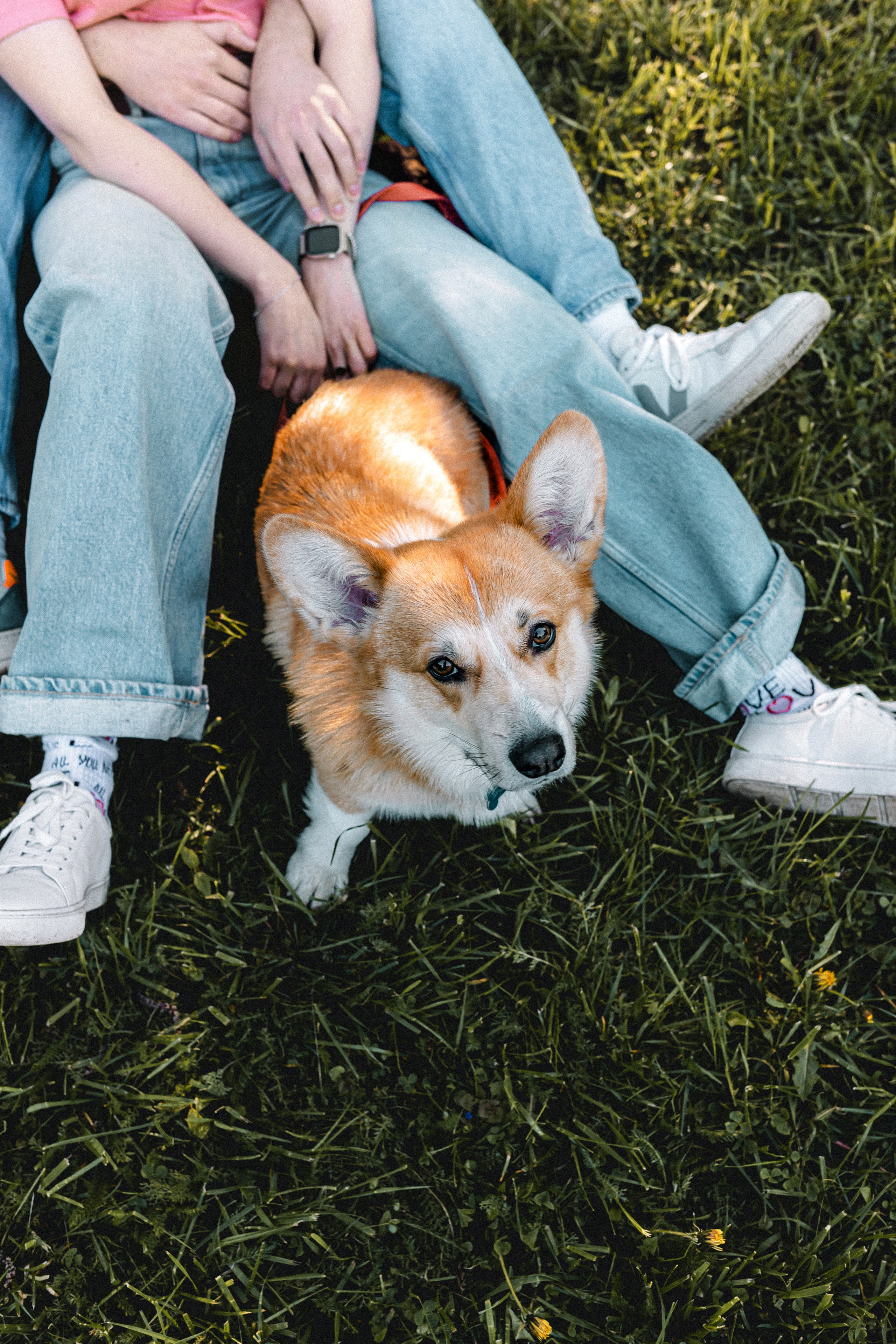 Вика, Глеб и Бадди