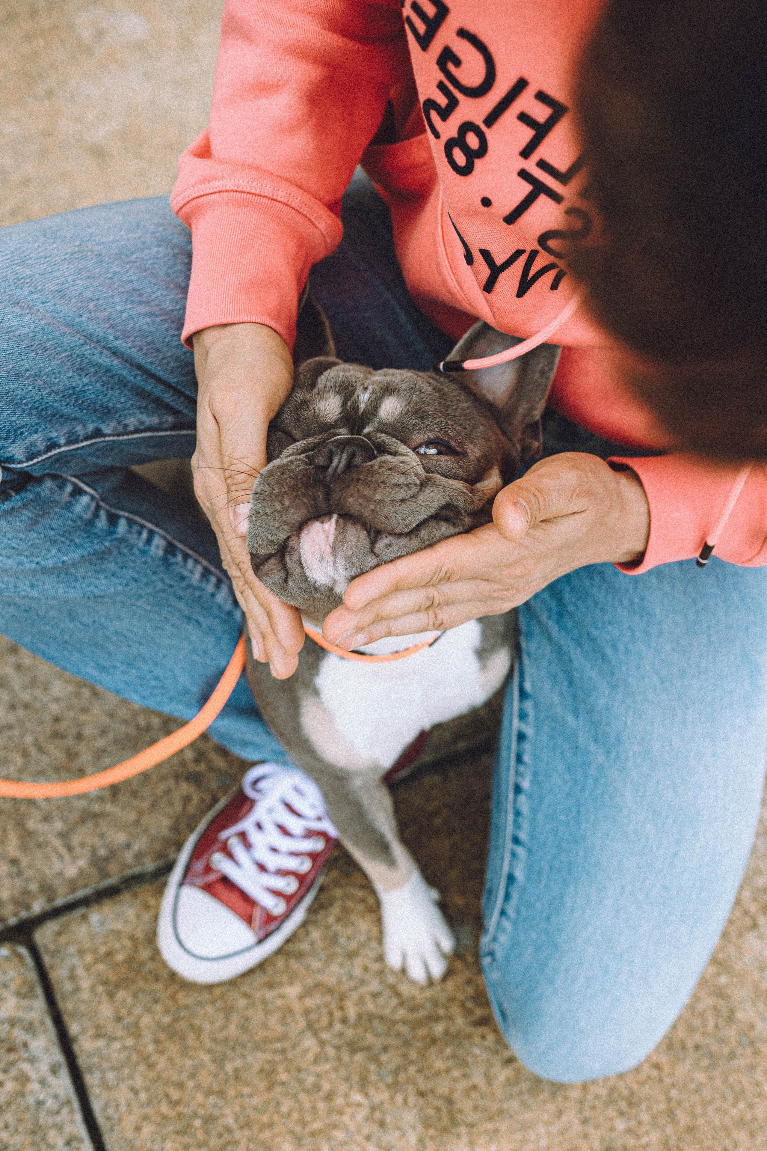 Регина, Сережа и Шелдон