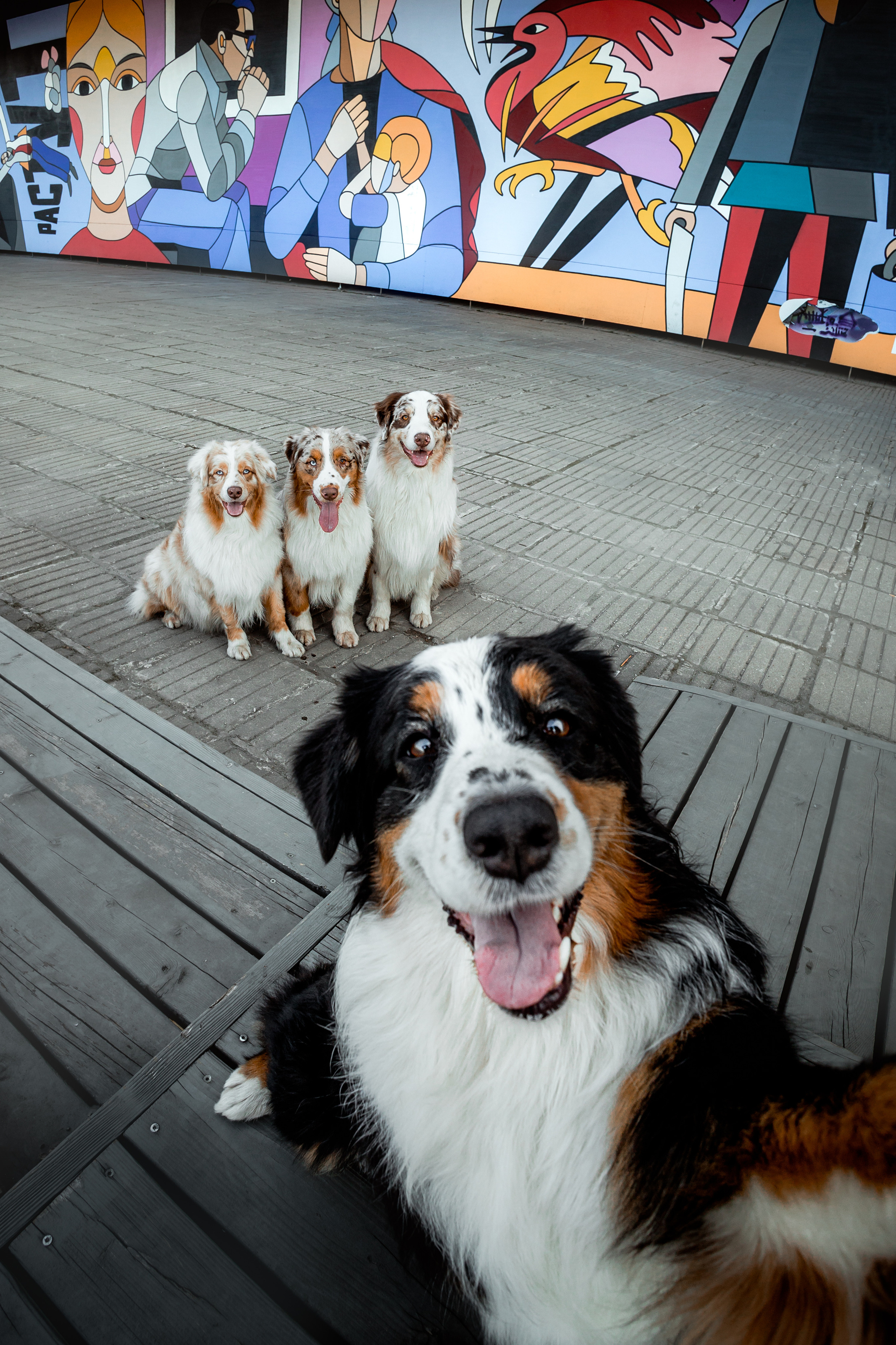 Маша и ее семья