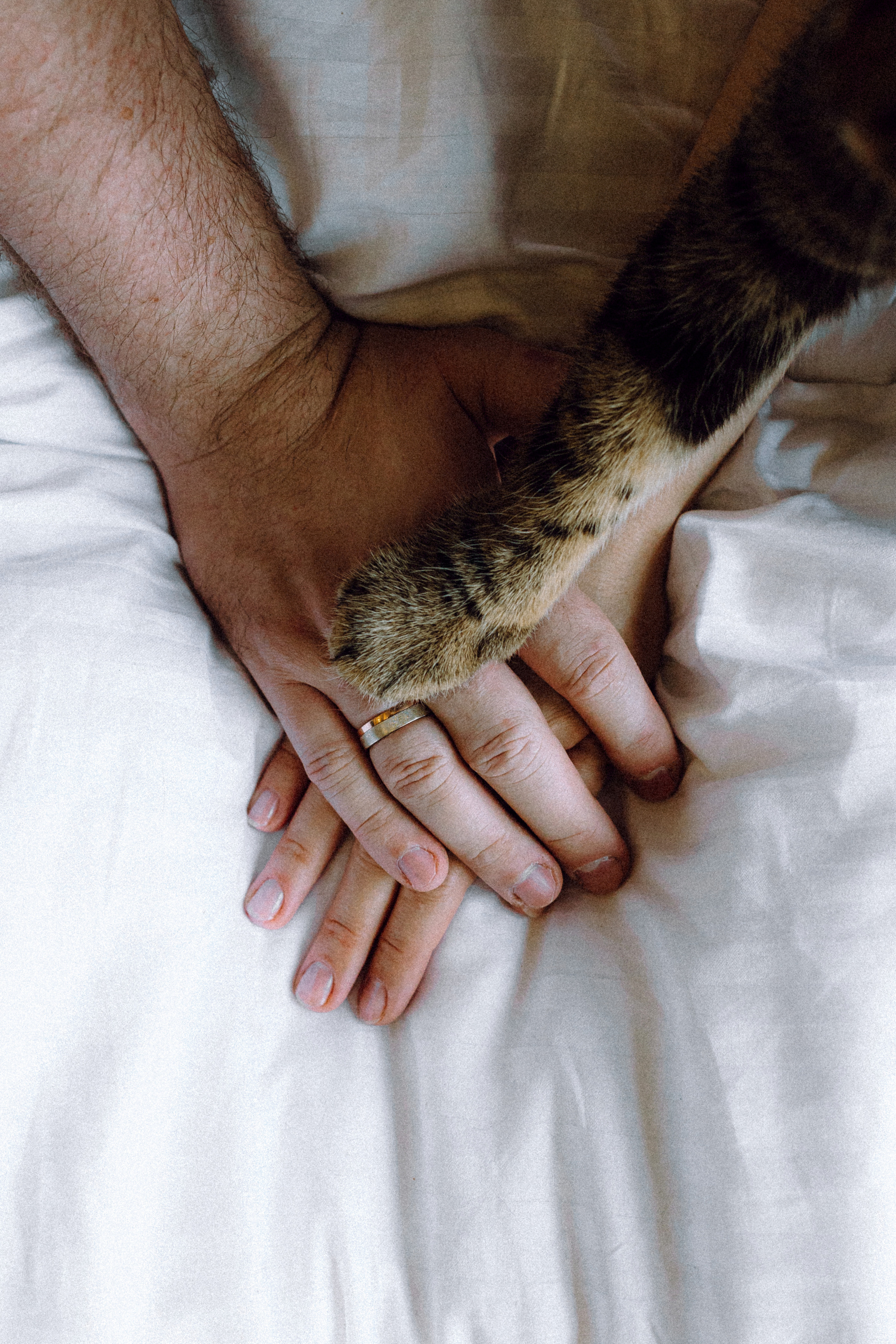 Вика, Вова и Клепа