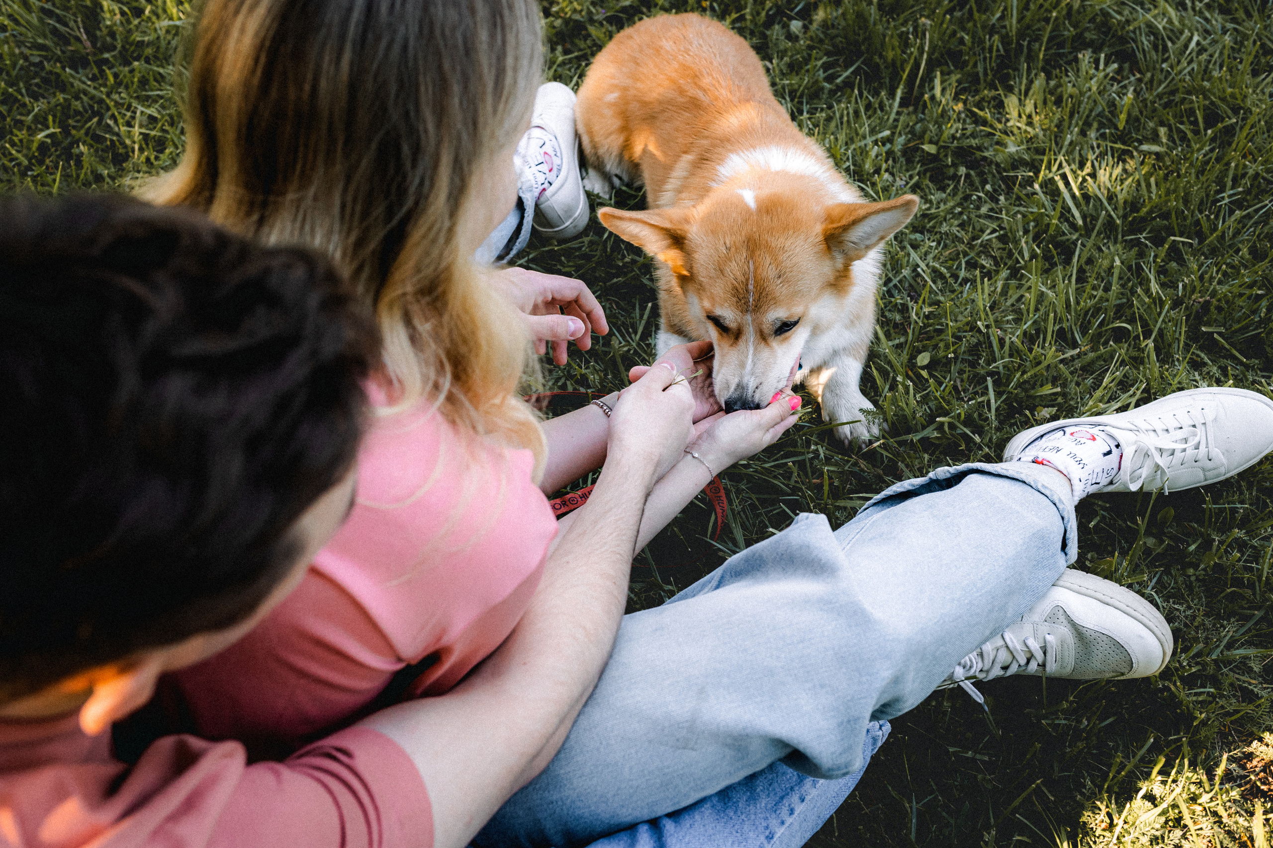 Вика, Глеб и Бадди