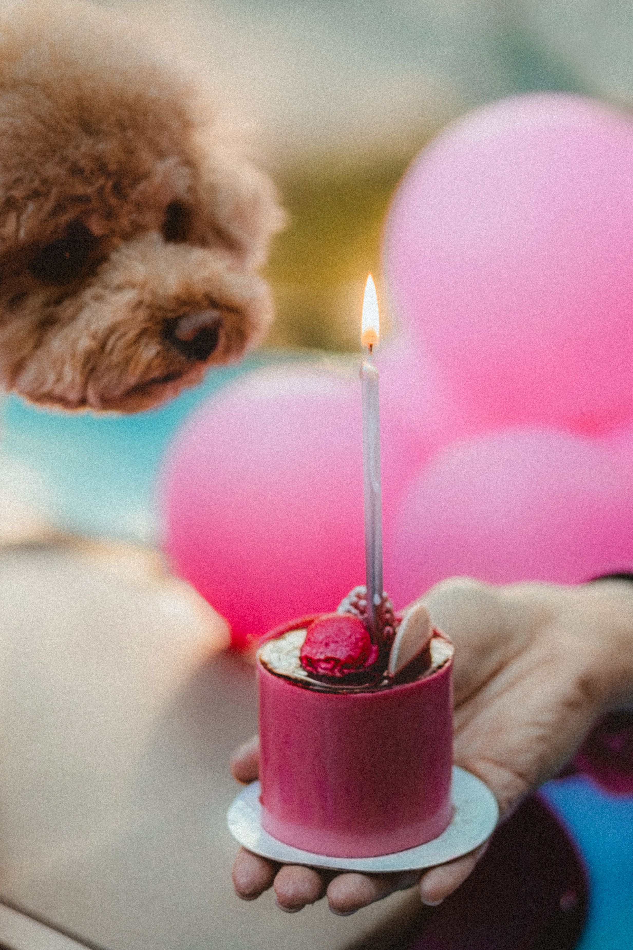 Даша и Глаша