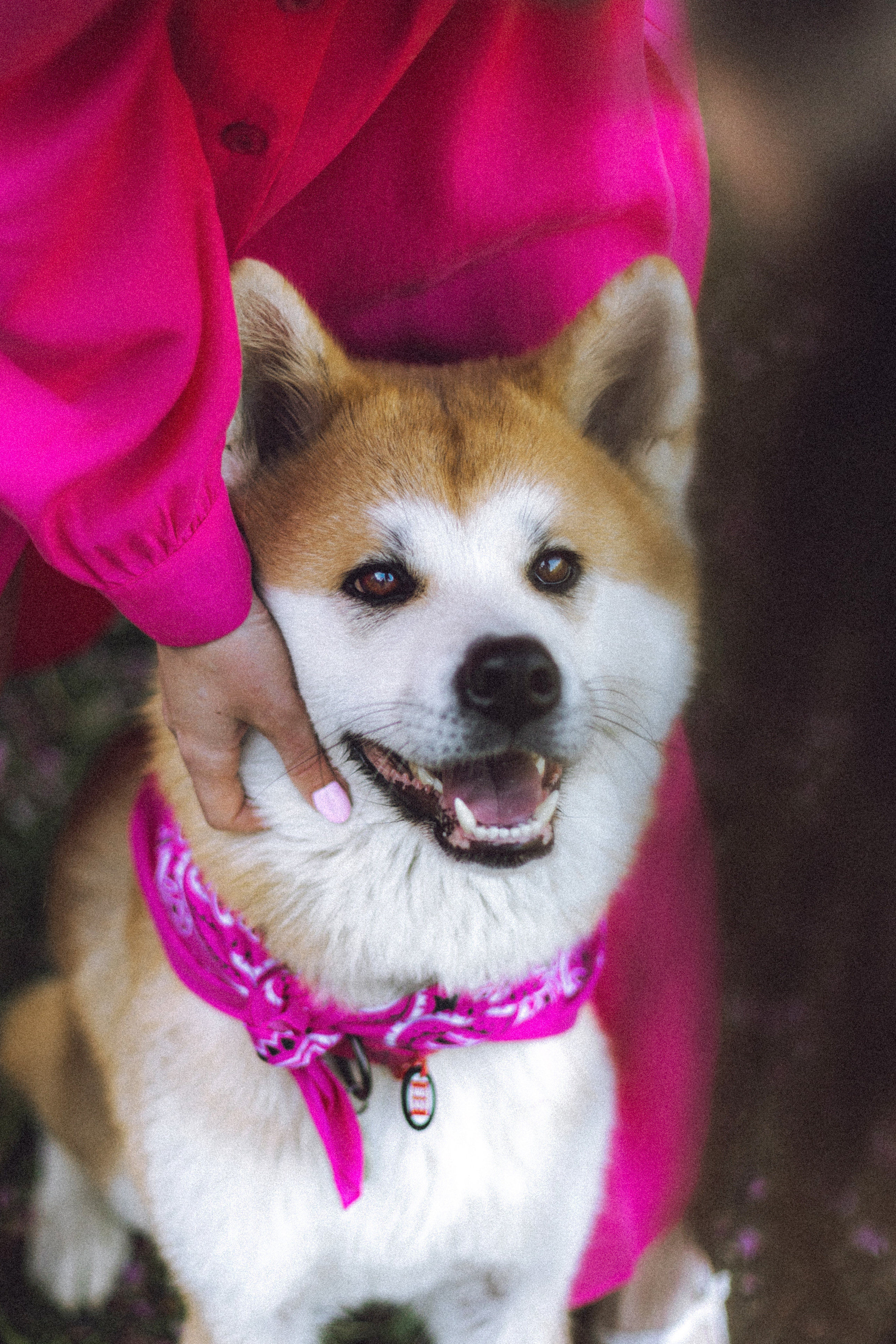 Ксюша, Андрей и Юки