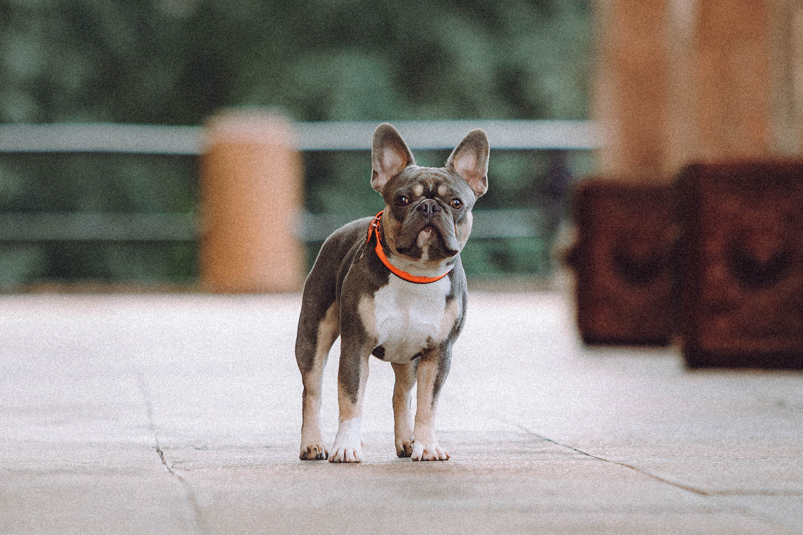 Регина, Сережа и Шелдон