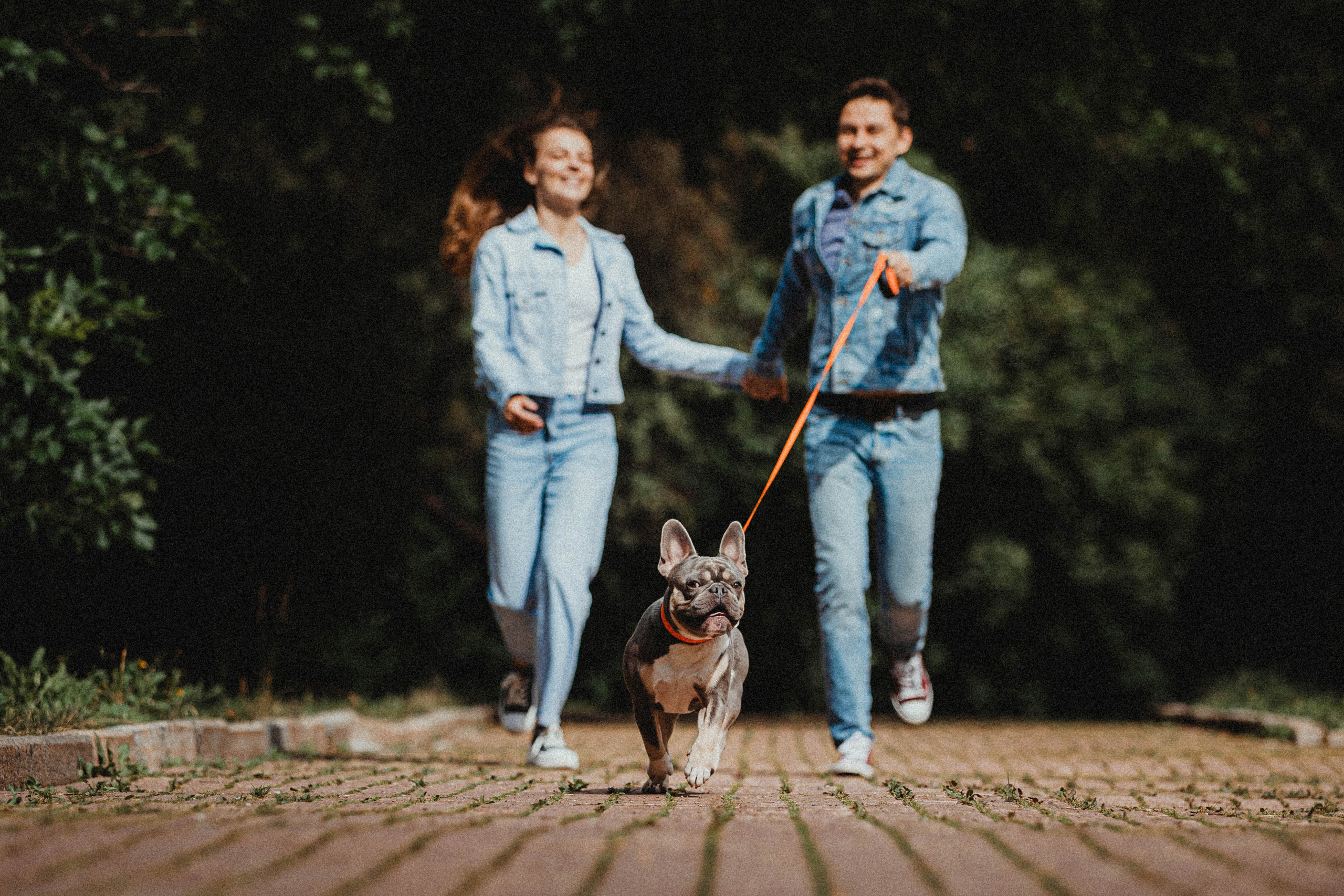 Регина, Сережа и Шелдон