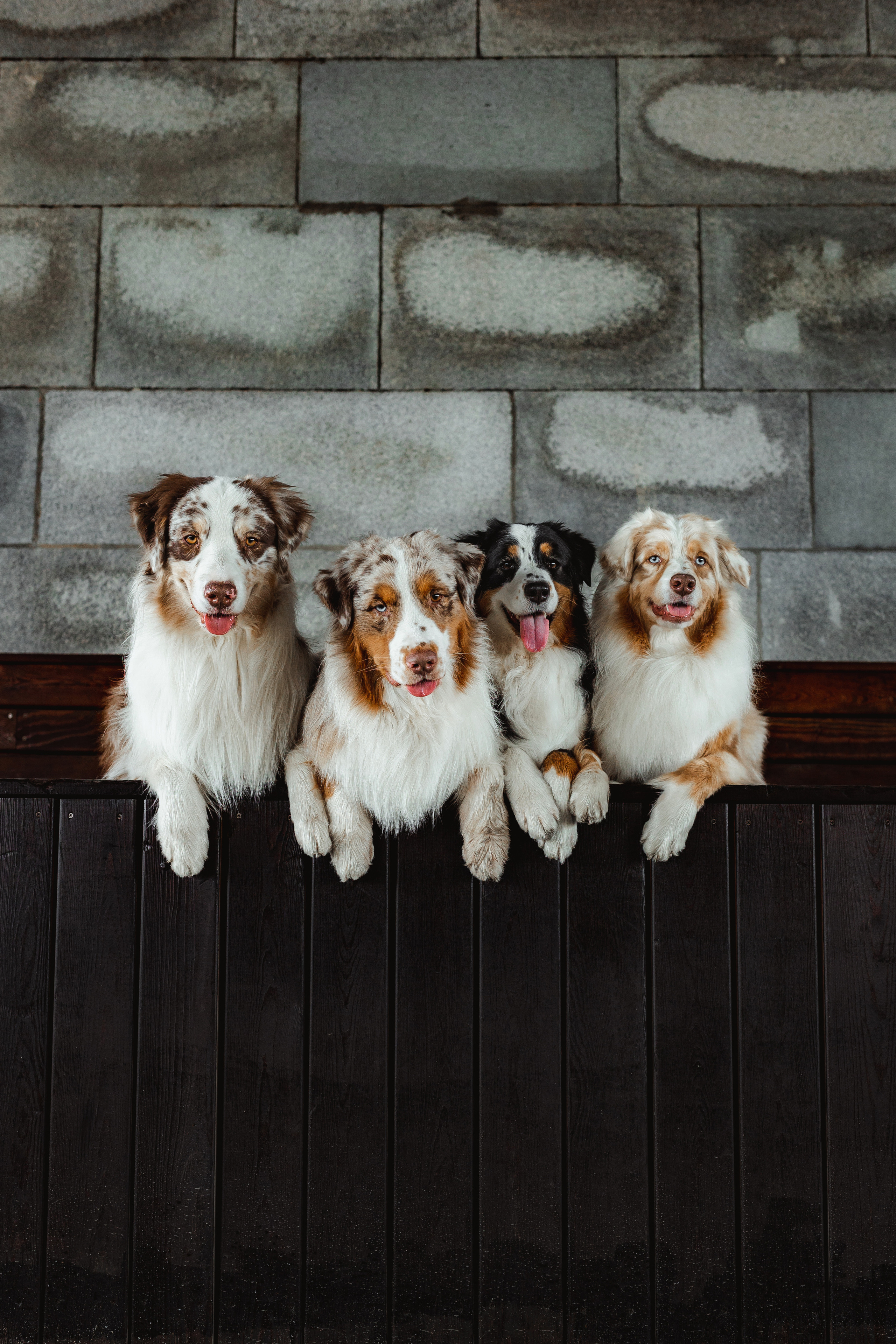 Маша и ее семья