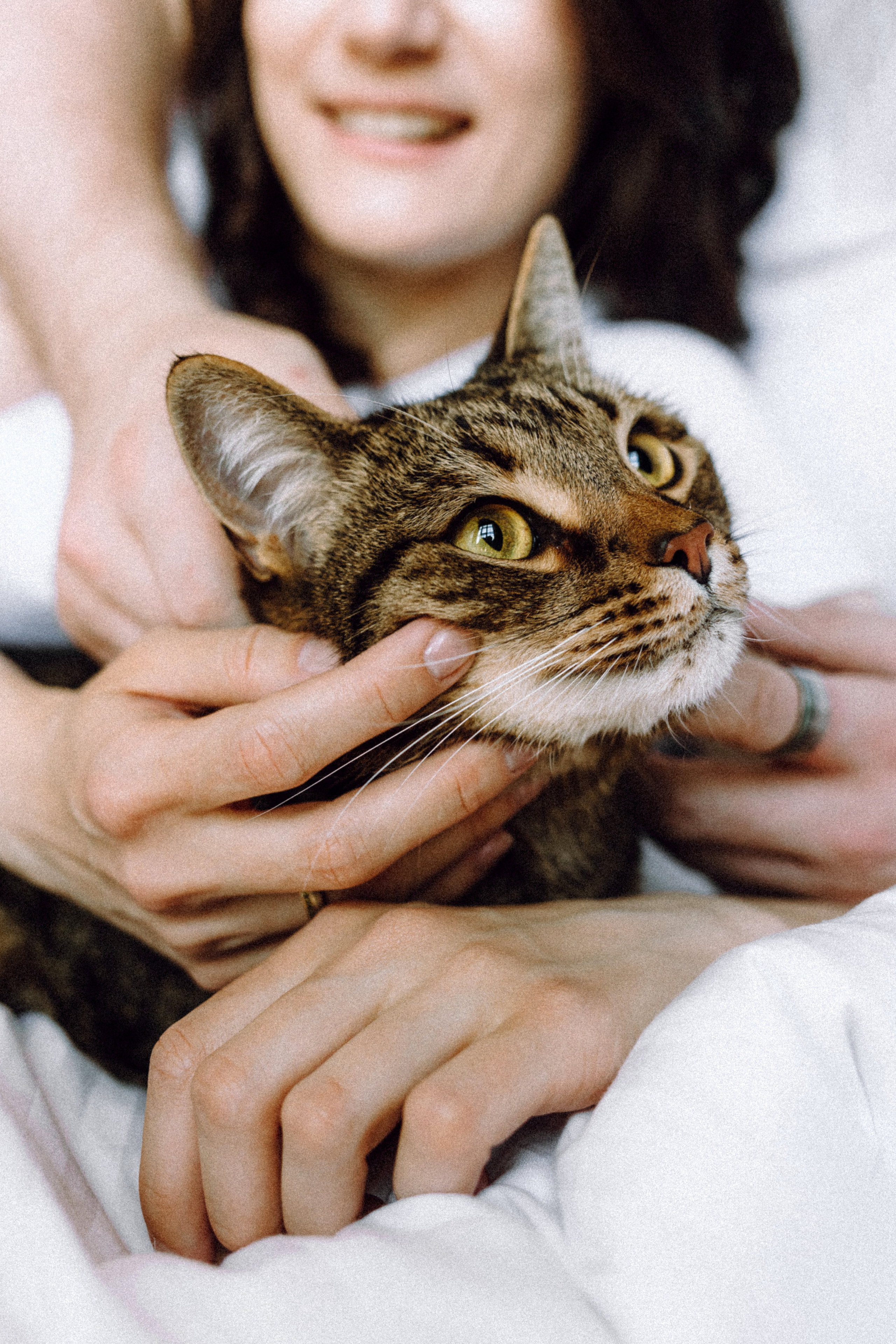 Вика, Вова и Клепа