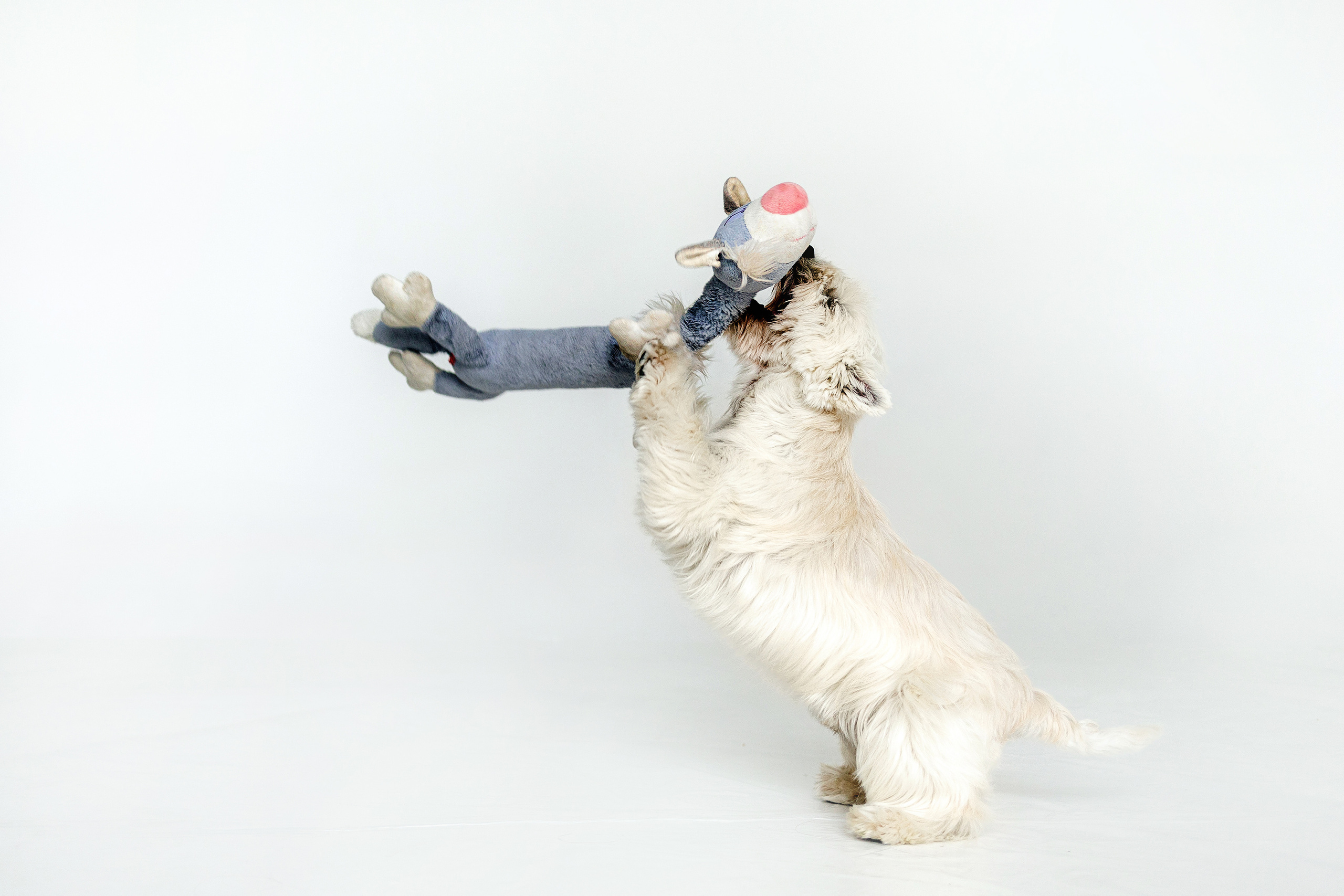 Вера и Бакс