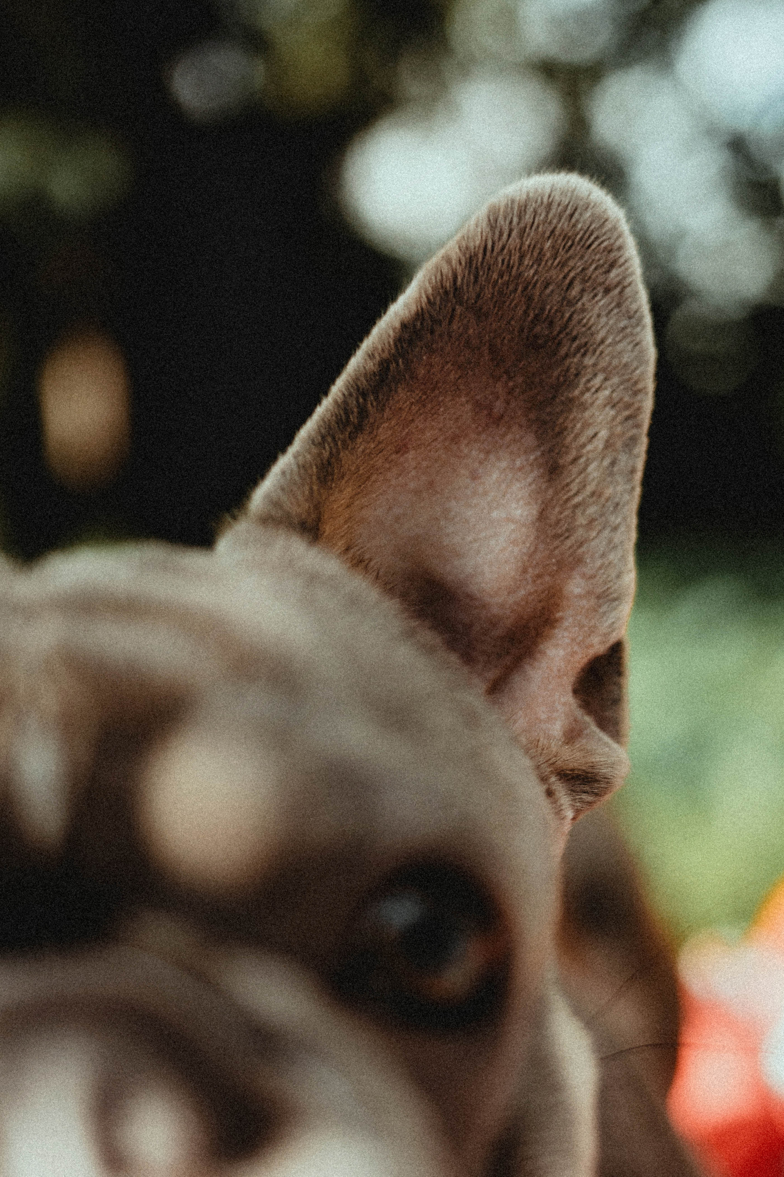 Регина, Сережа и Шелдон