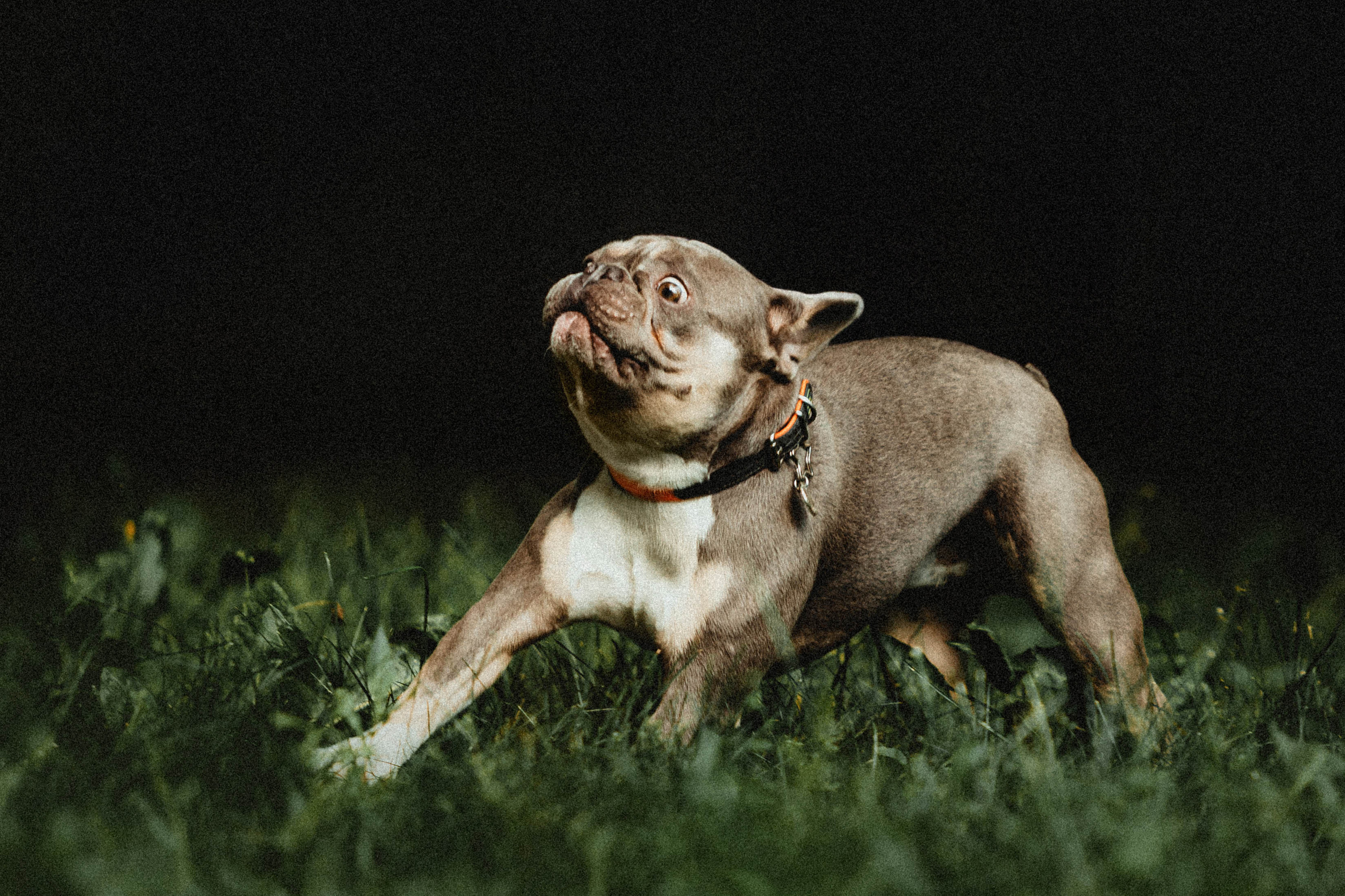 Регина, Сережа и Шелдон