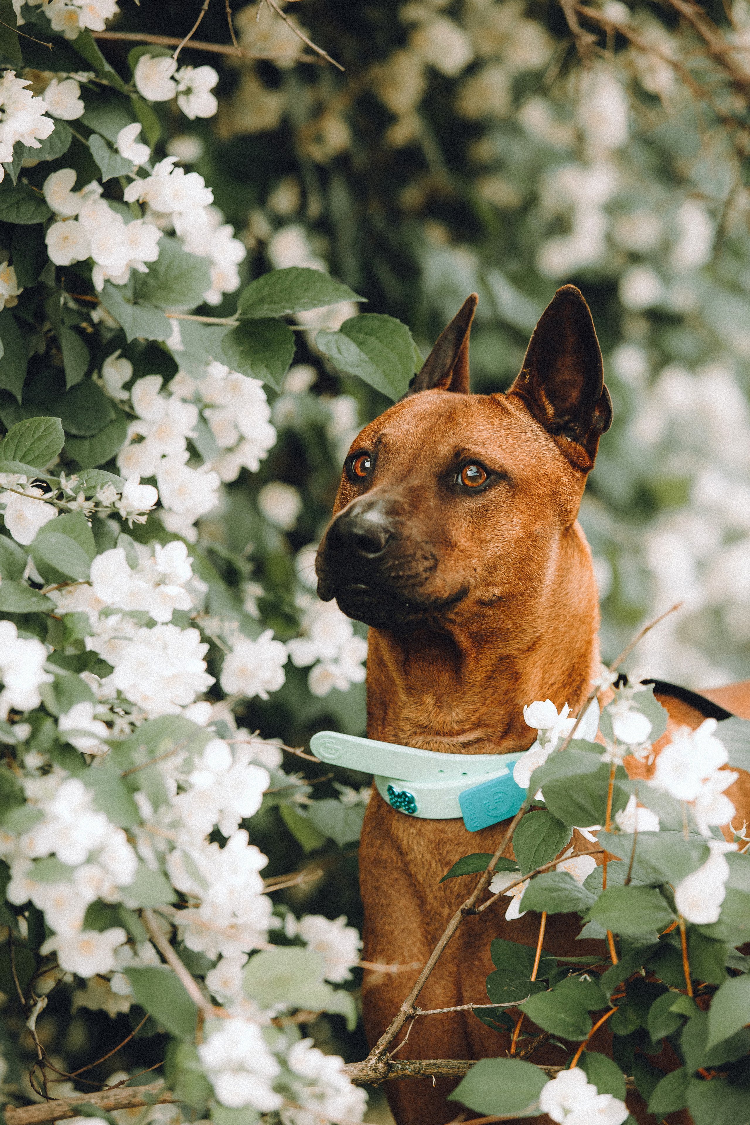 Оксана и Зевс