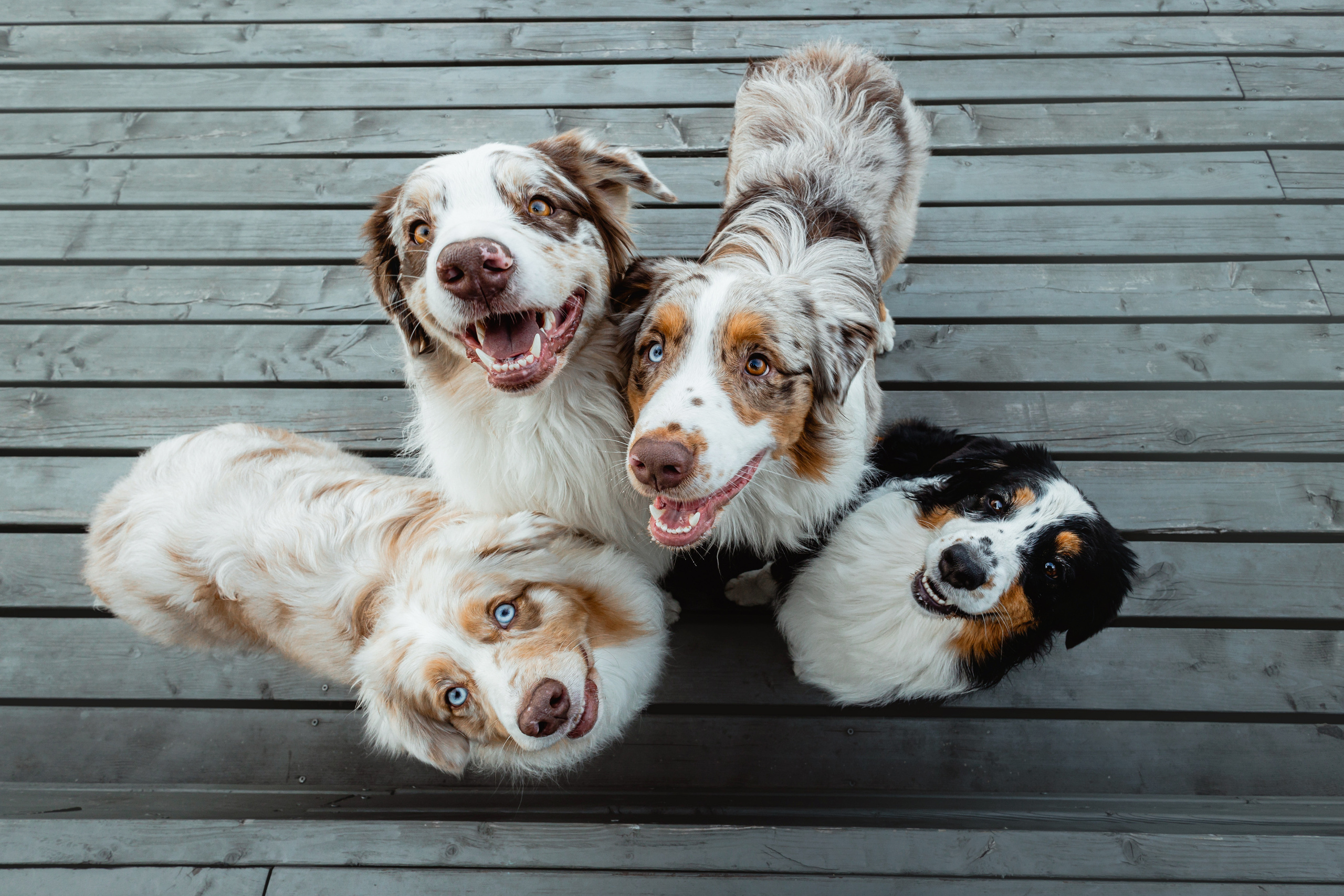 Маша и ее семья