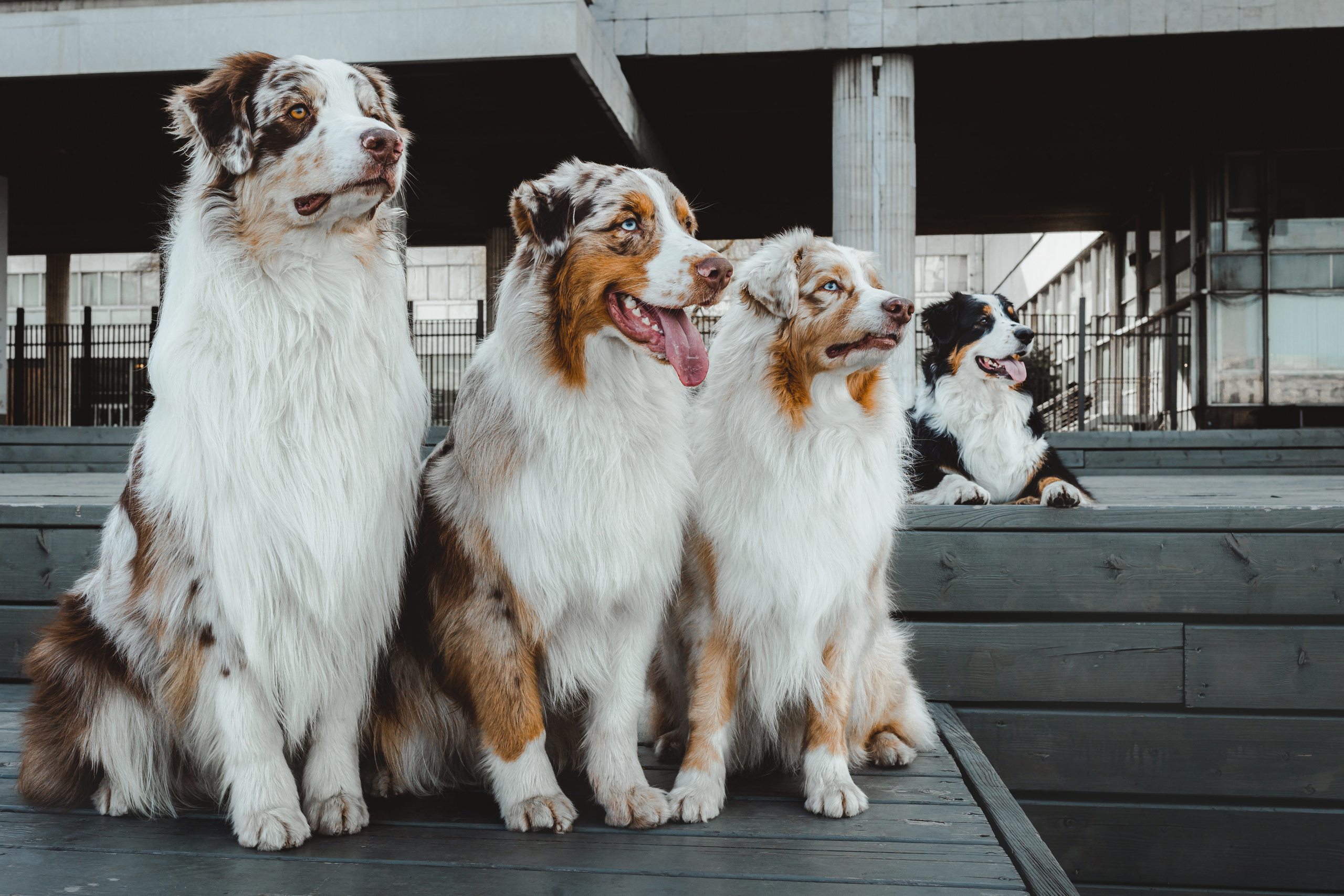 Маша и ее семья