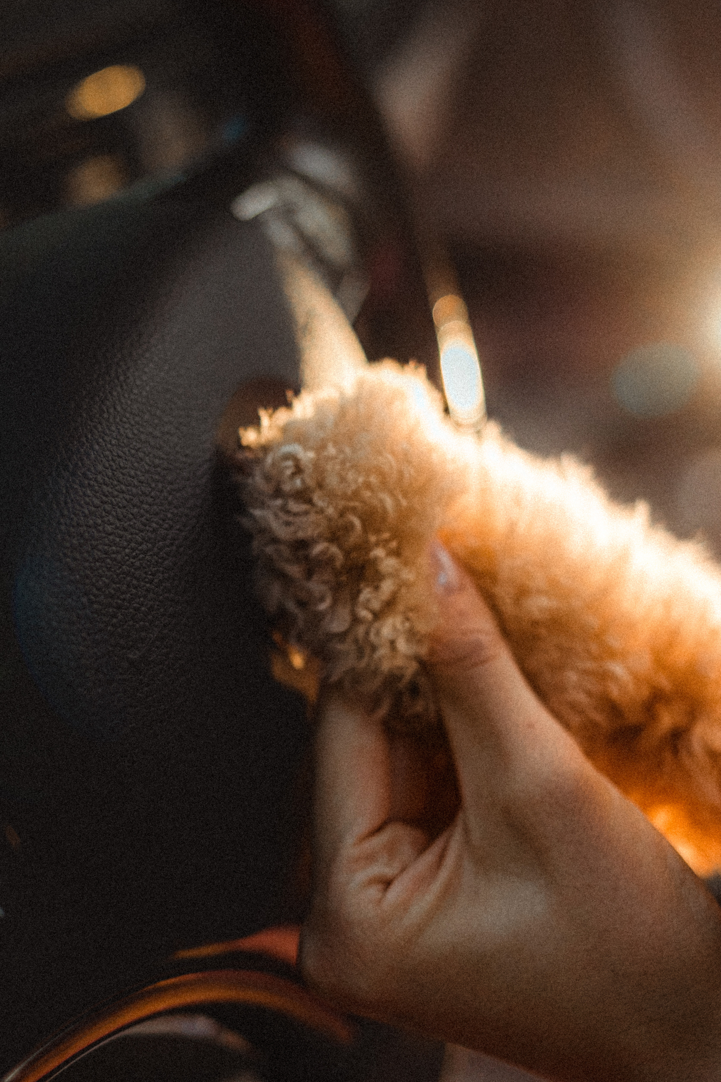 Даша и Глаша