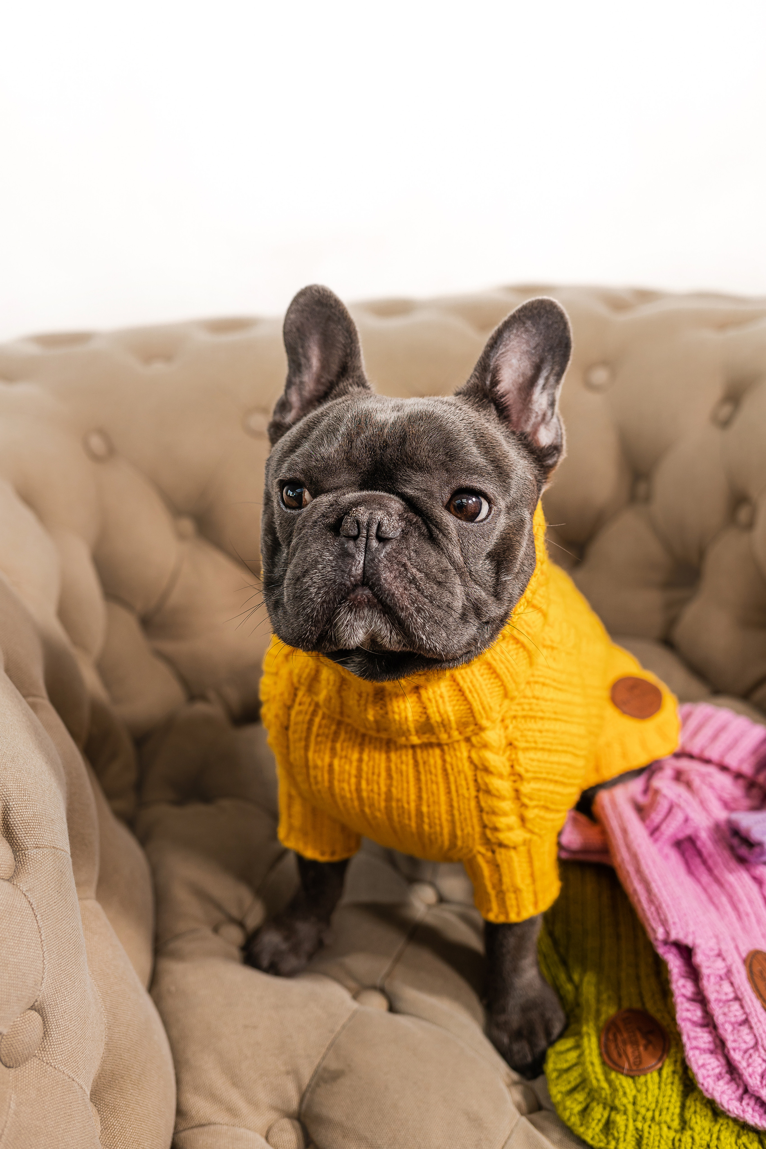 Съемка для MGM