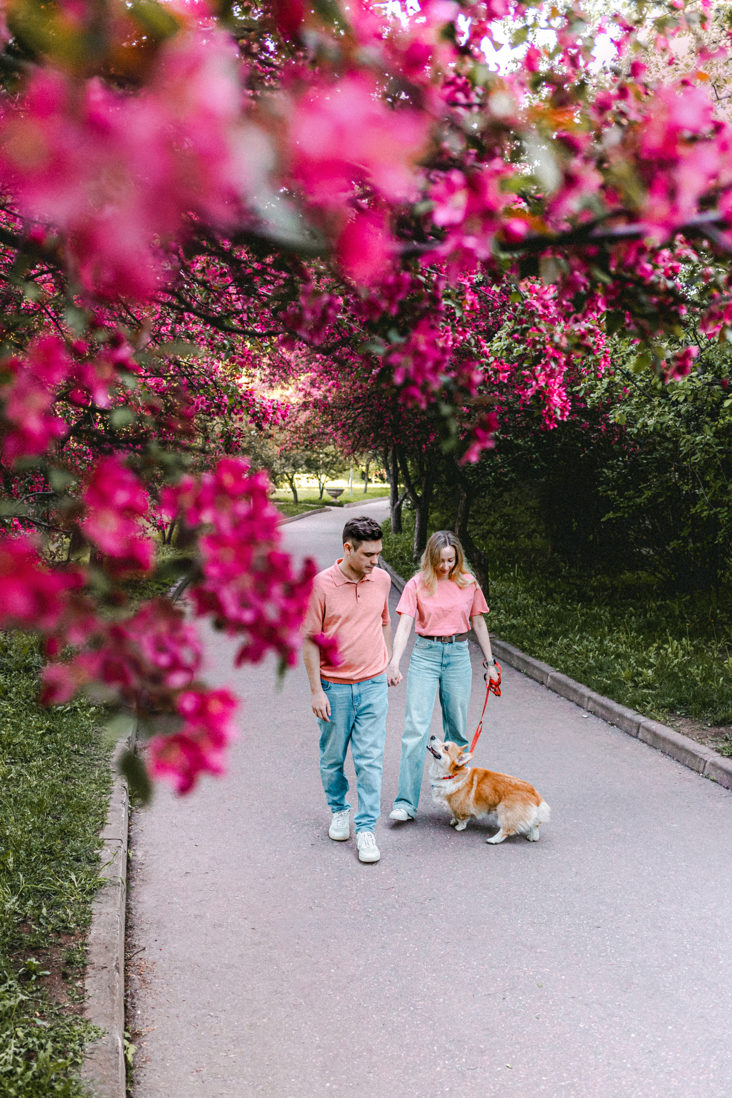 Вика, Глеб и корги Бадди