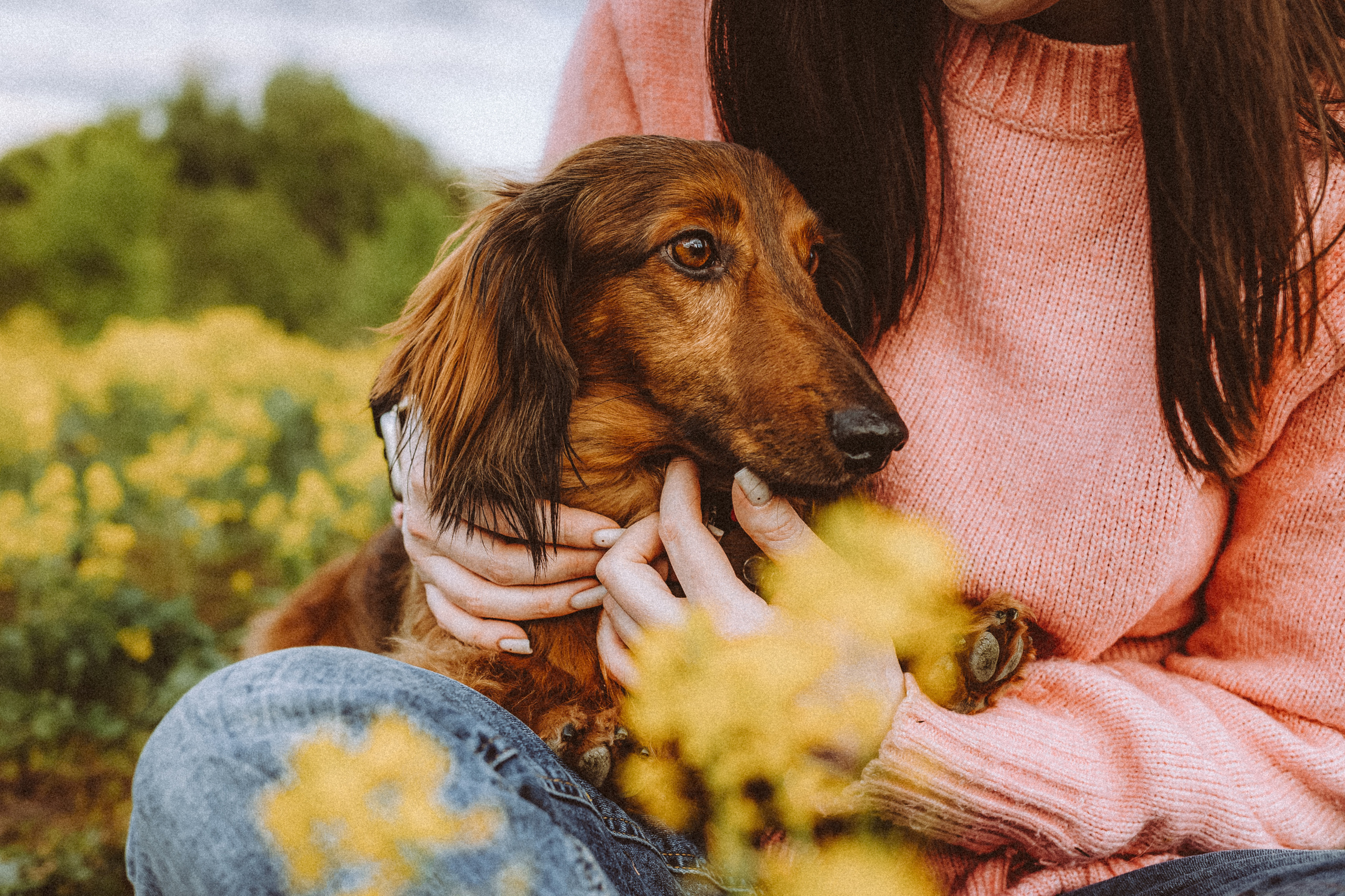 Джаз, Остин и их семья