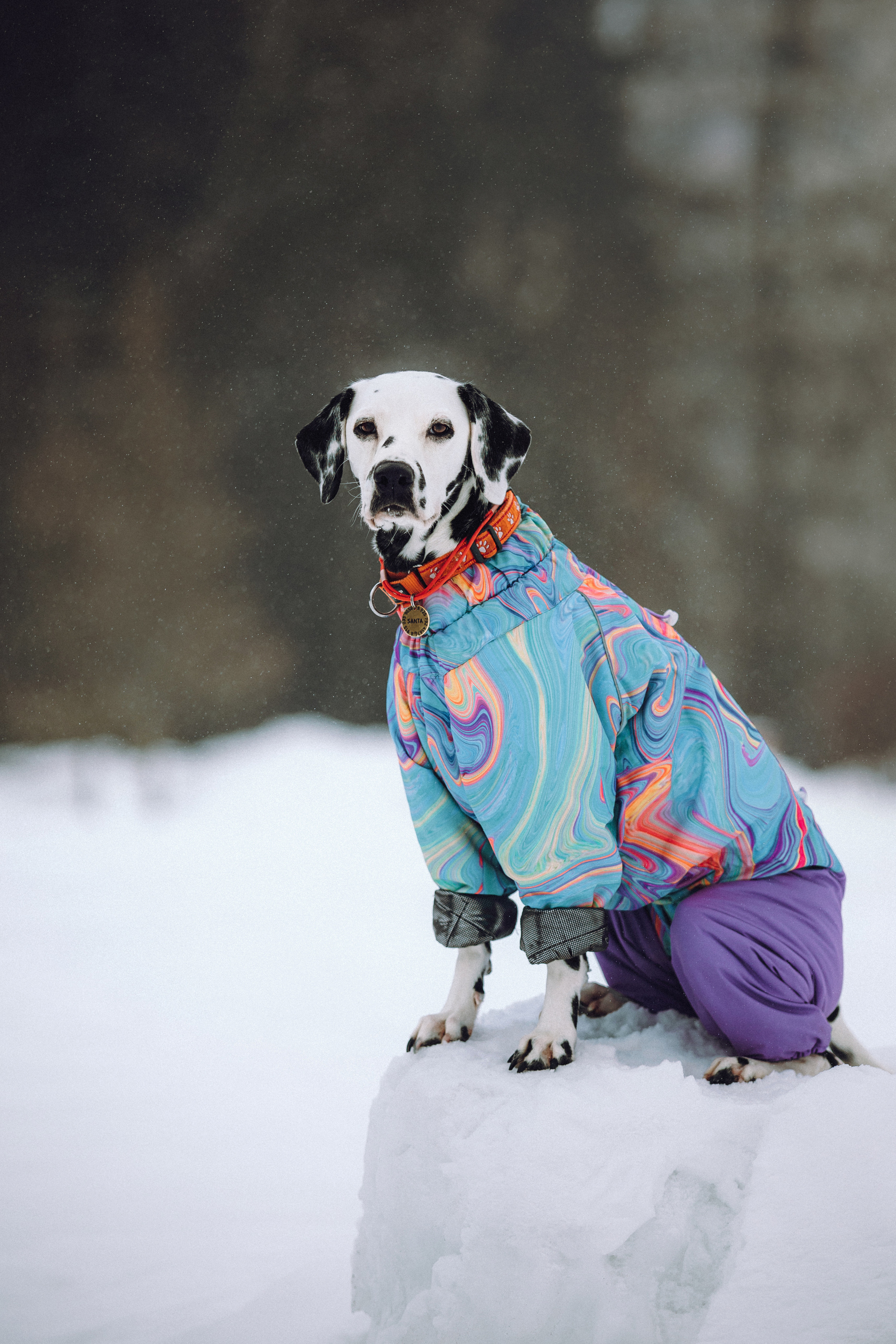 Кристина, Леша и Санта