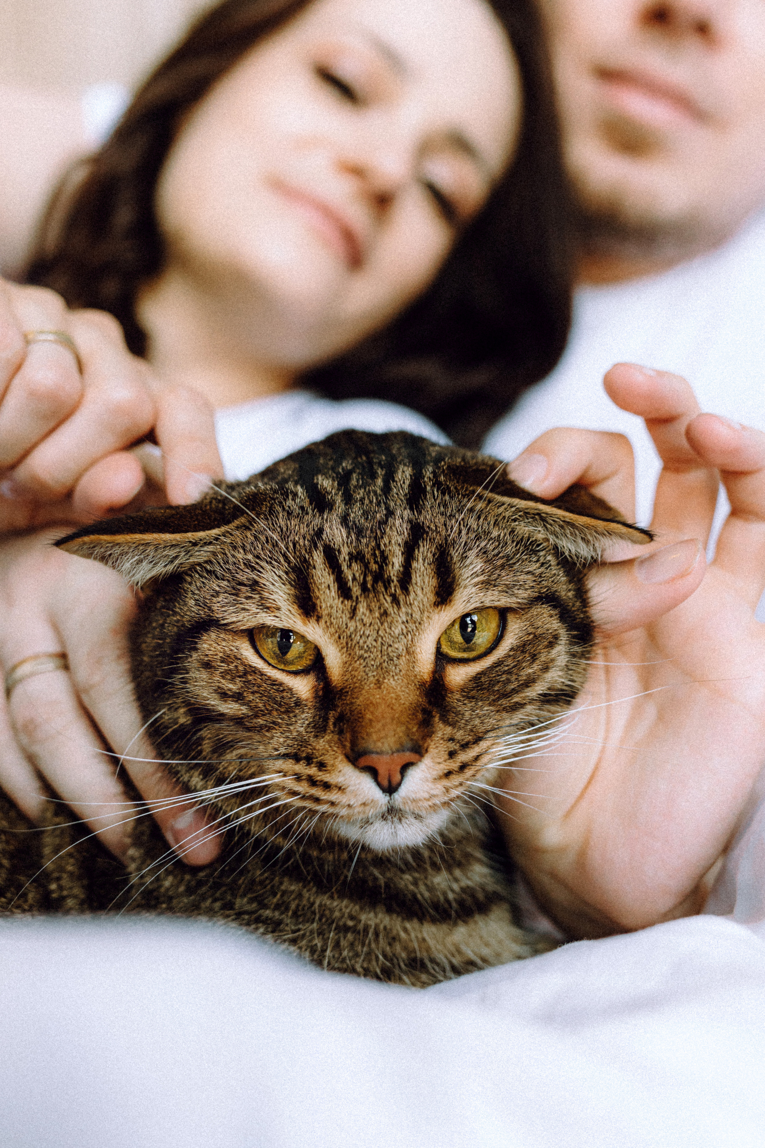 Вика, Вова и Клепа