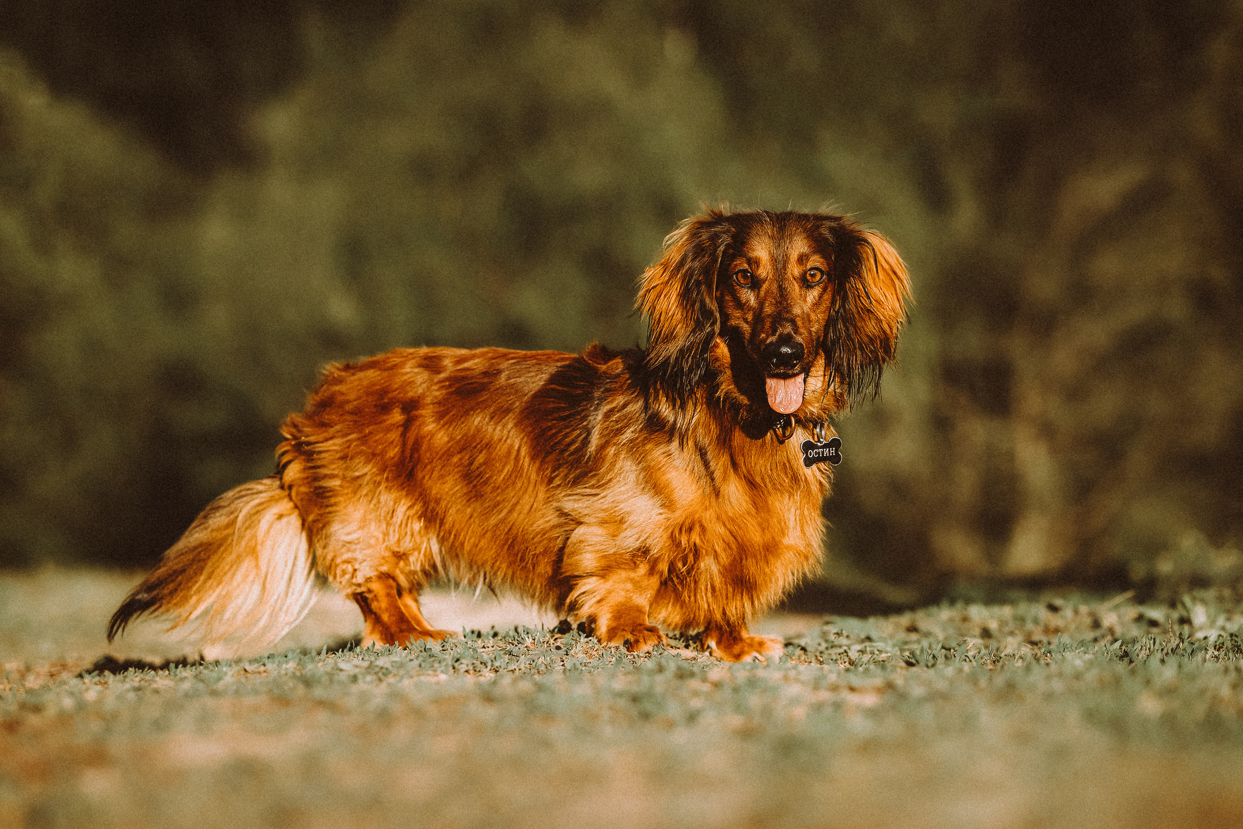 Джаз, Остин и их семья