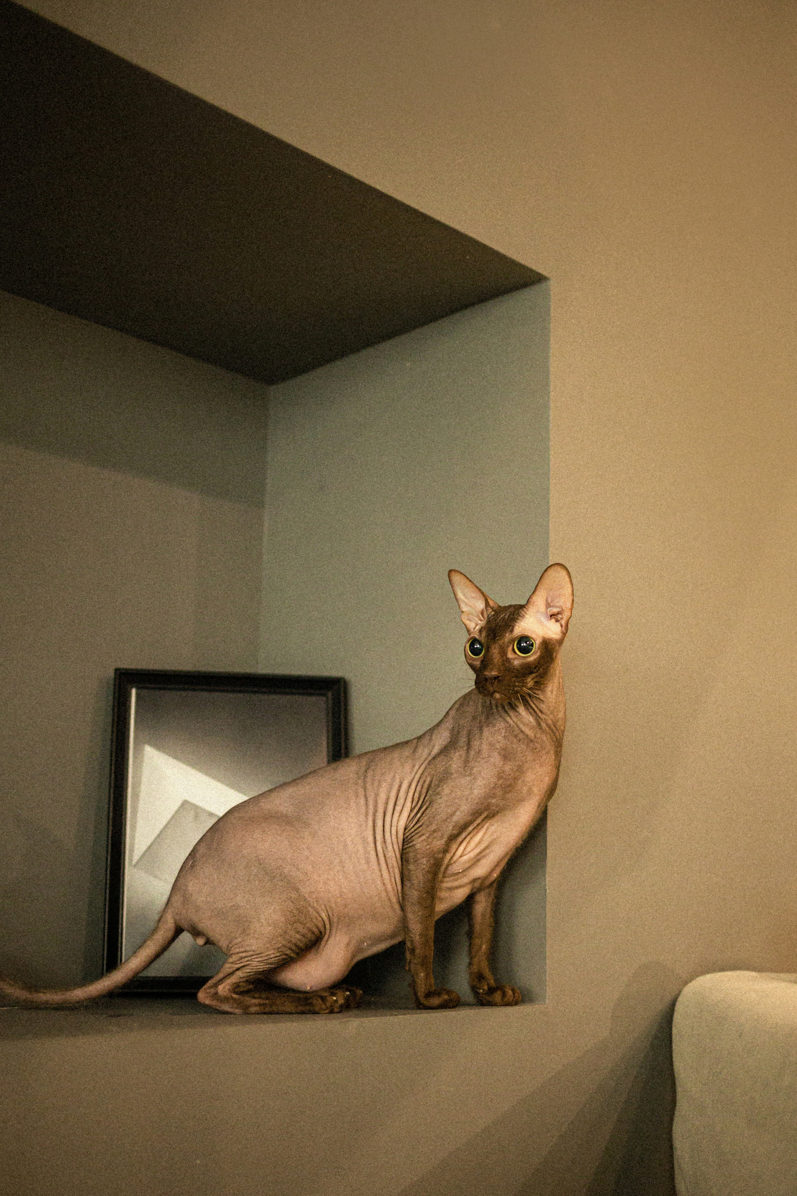 Марк, Челси, Маша и их семья