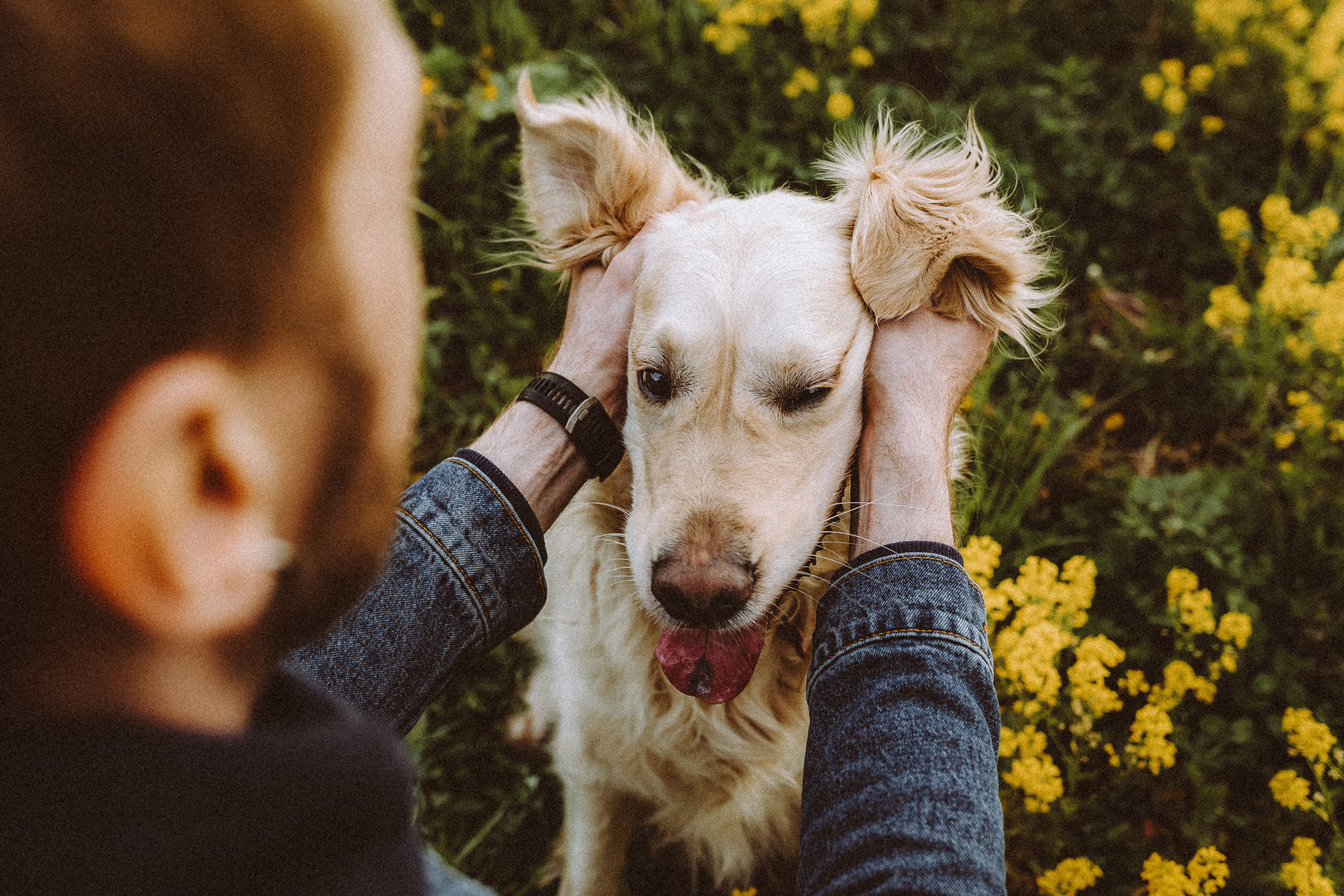 Джаз, Остин и их семья