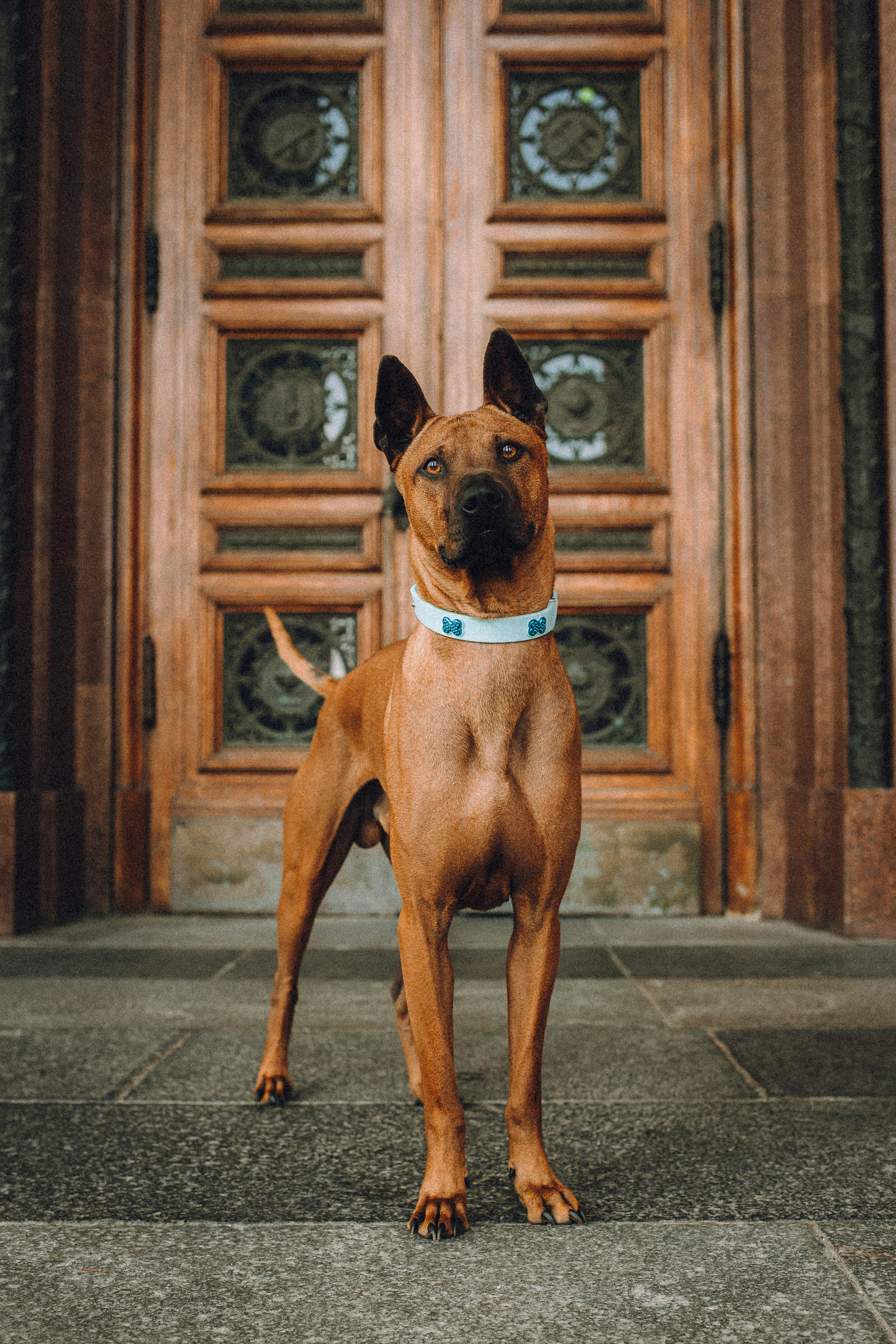 Оксана и Зевс