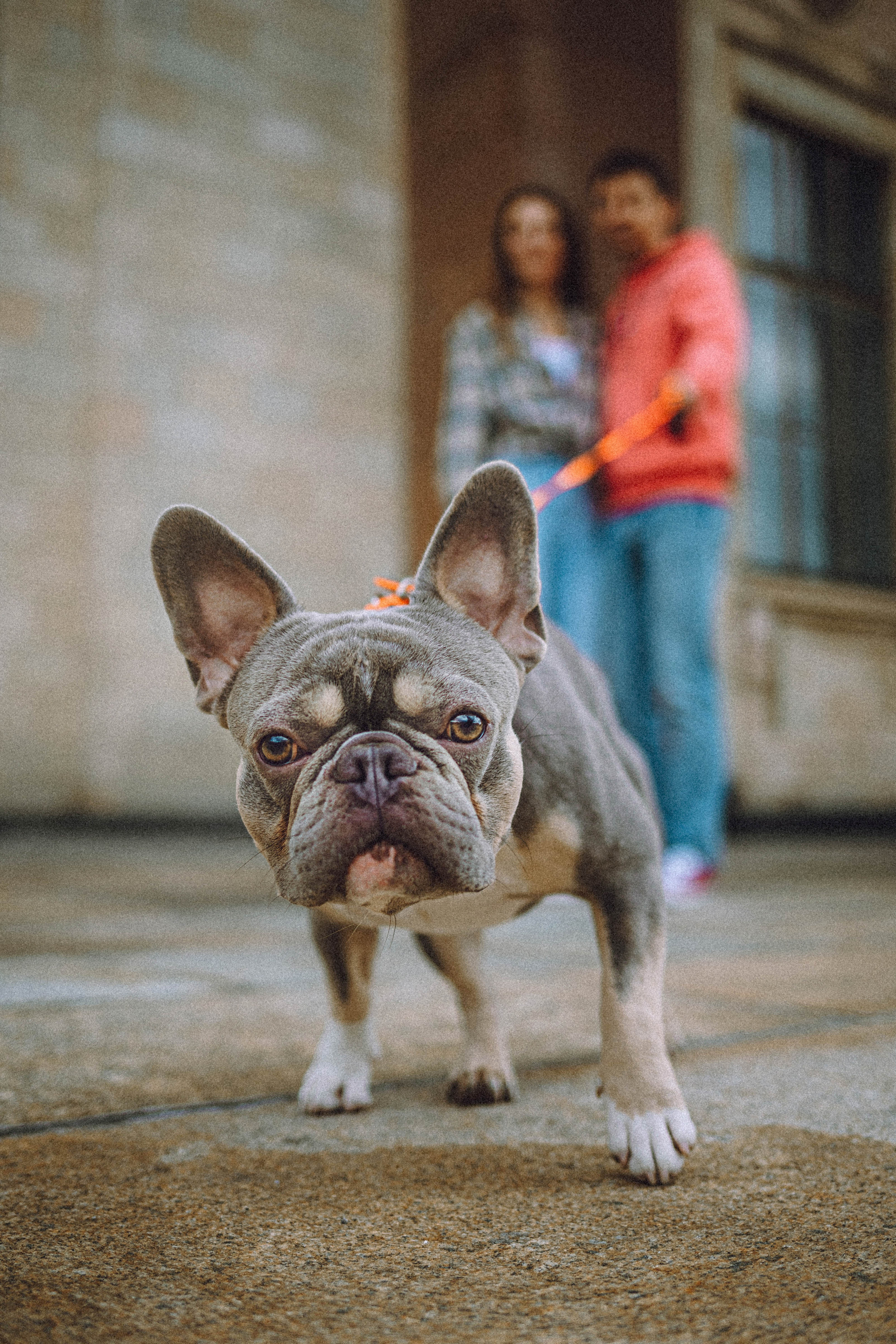 Регина, Сережа и Шелдон