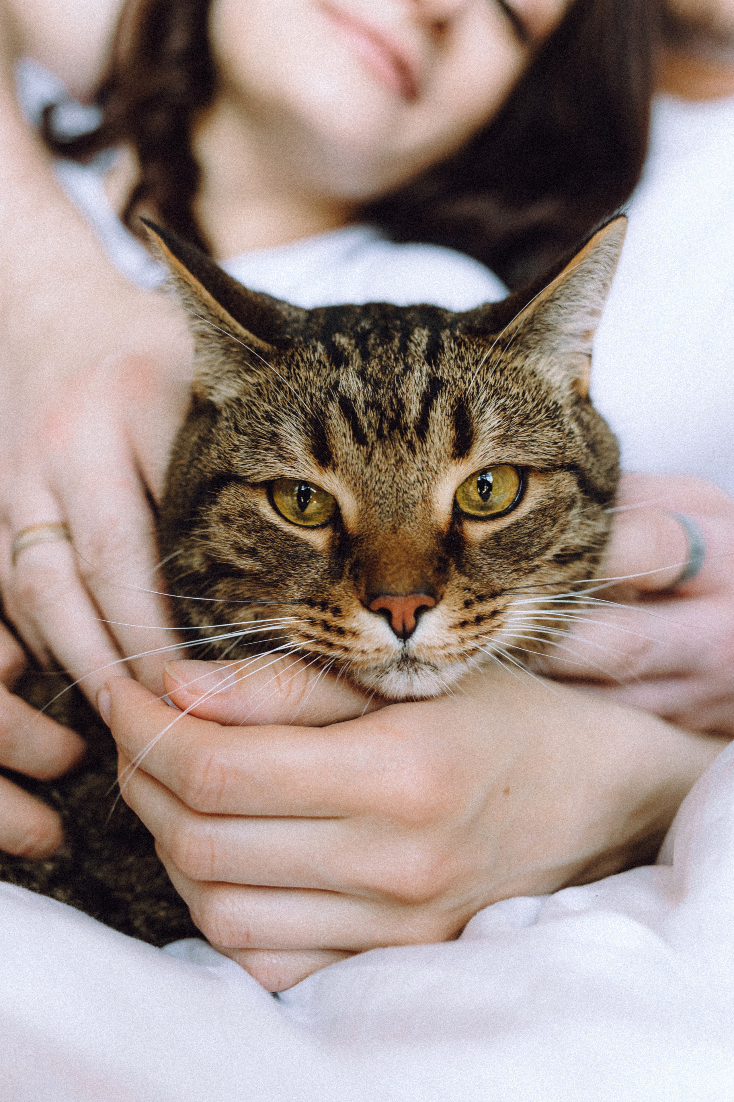 Вика, Вова и Клепа