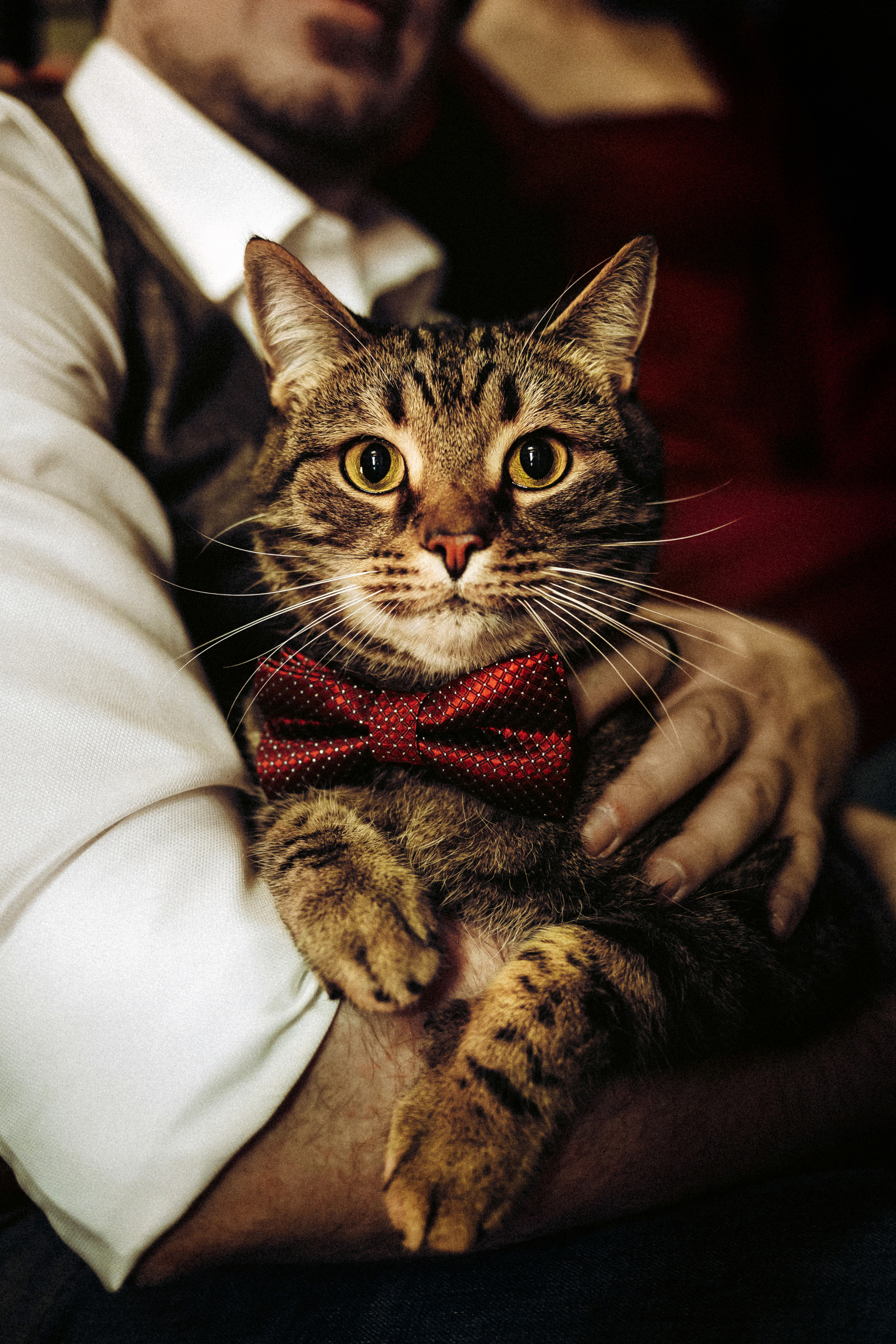 Вика, Вова и Клепа