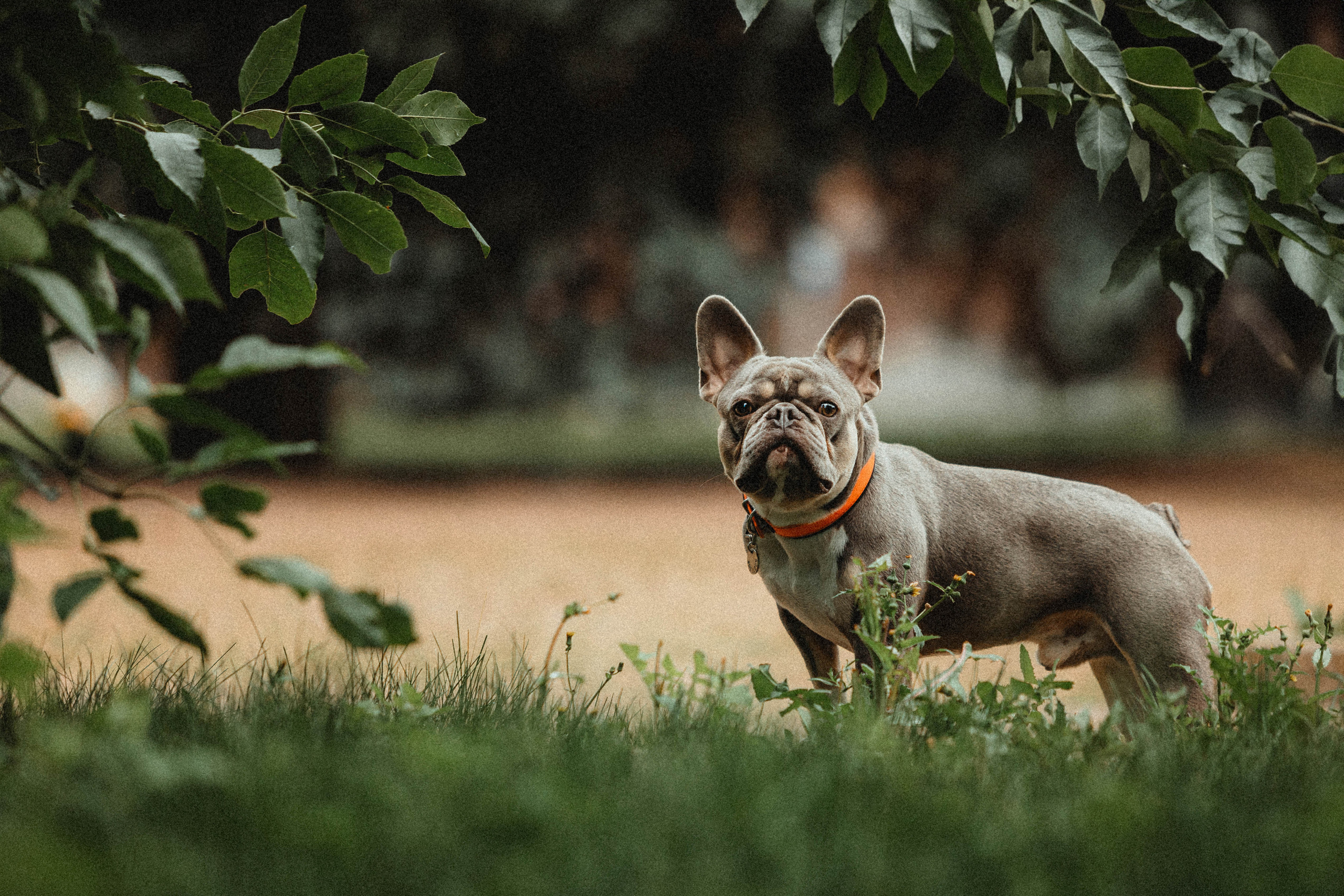 Регина, Сережа и Шелдон