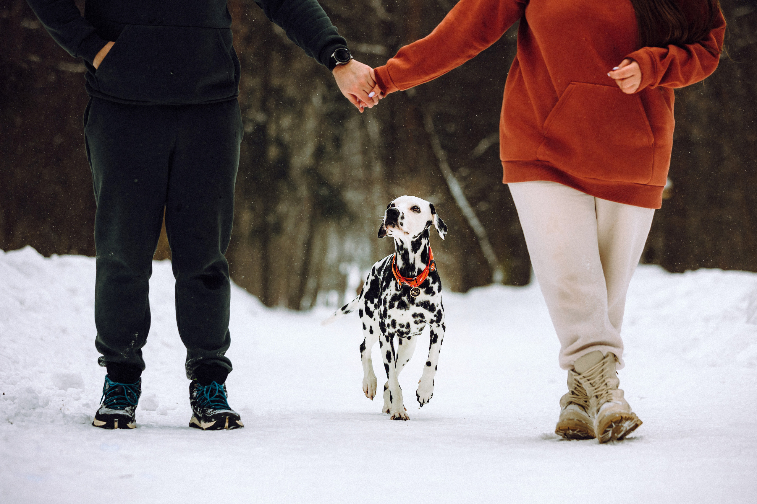 Кристина, Леша и Санта