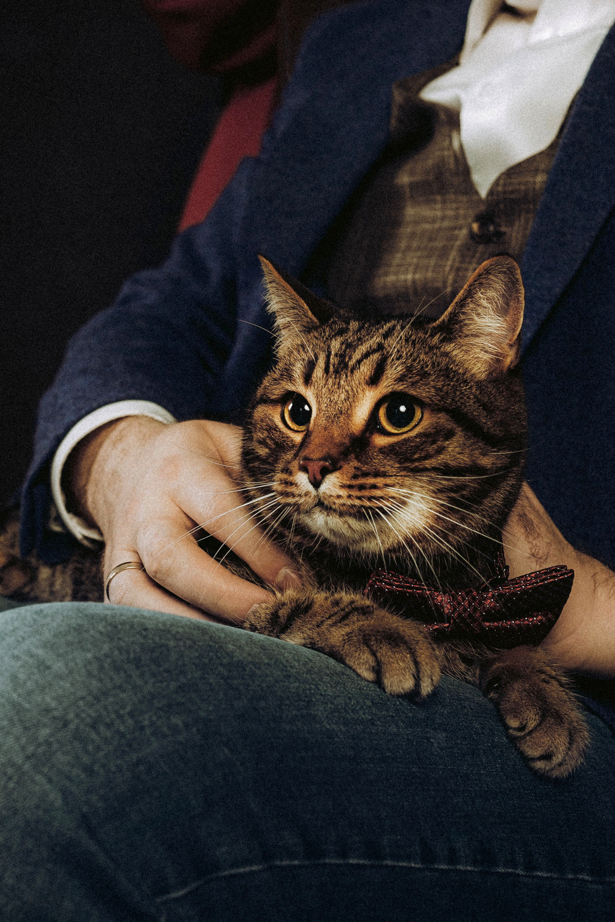 Вика, Вова и Клепа