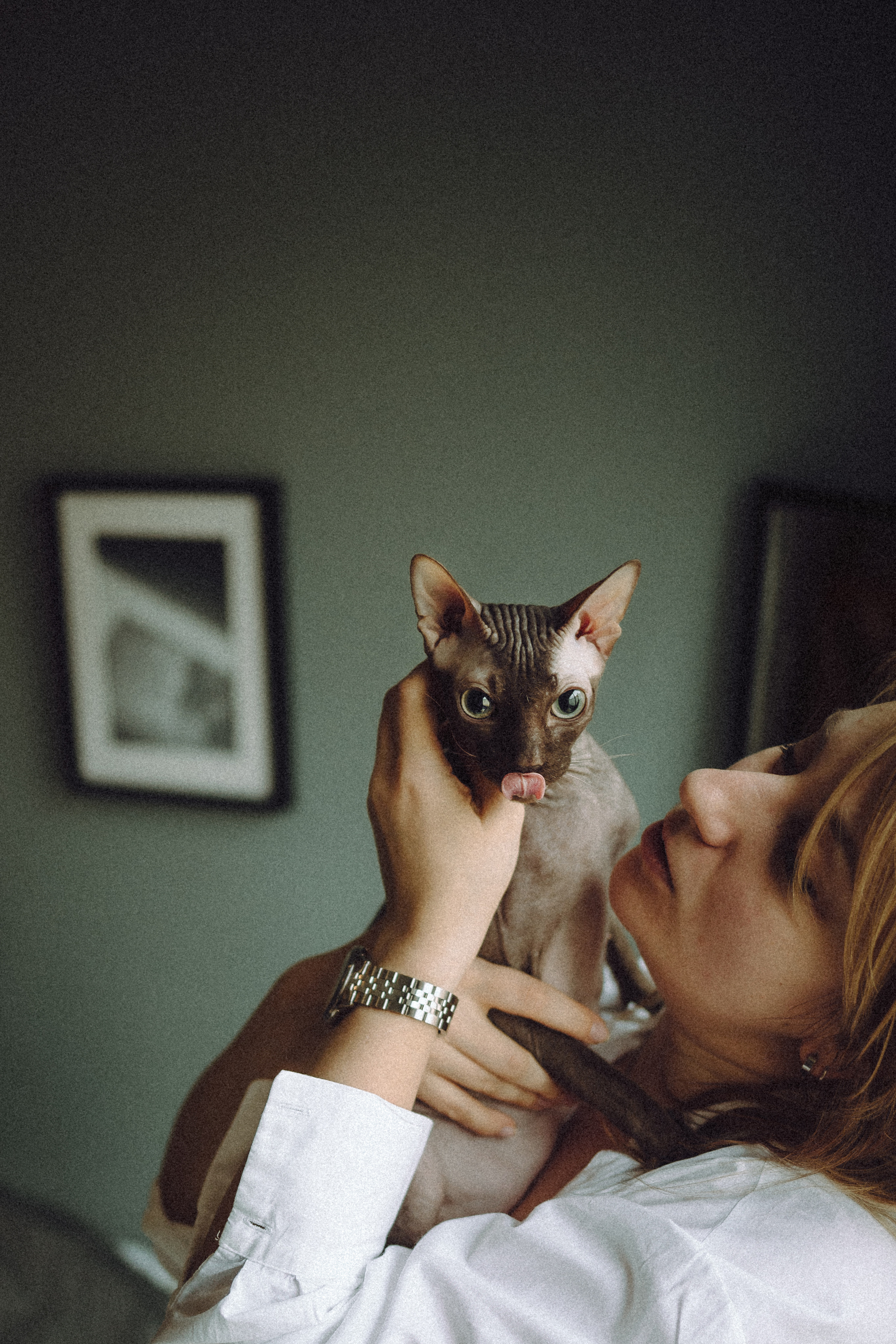 Марк, Челси, Маша и их семья