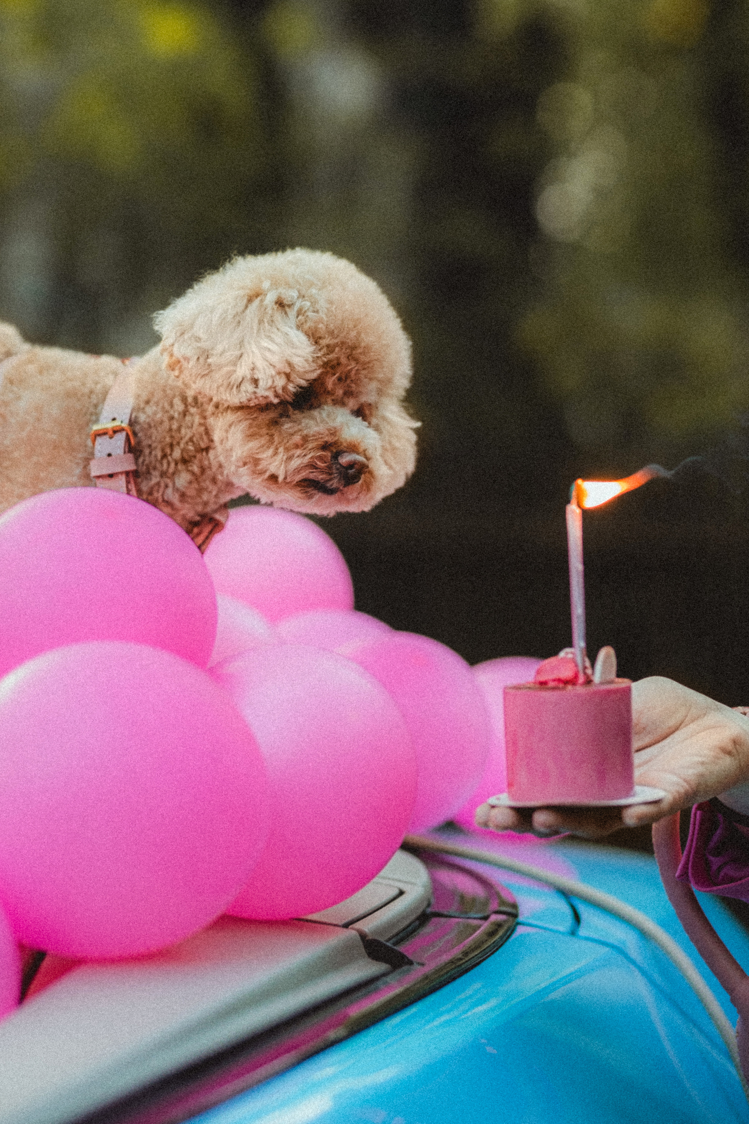 Даша и Глаша