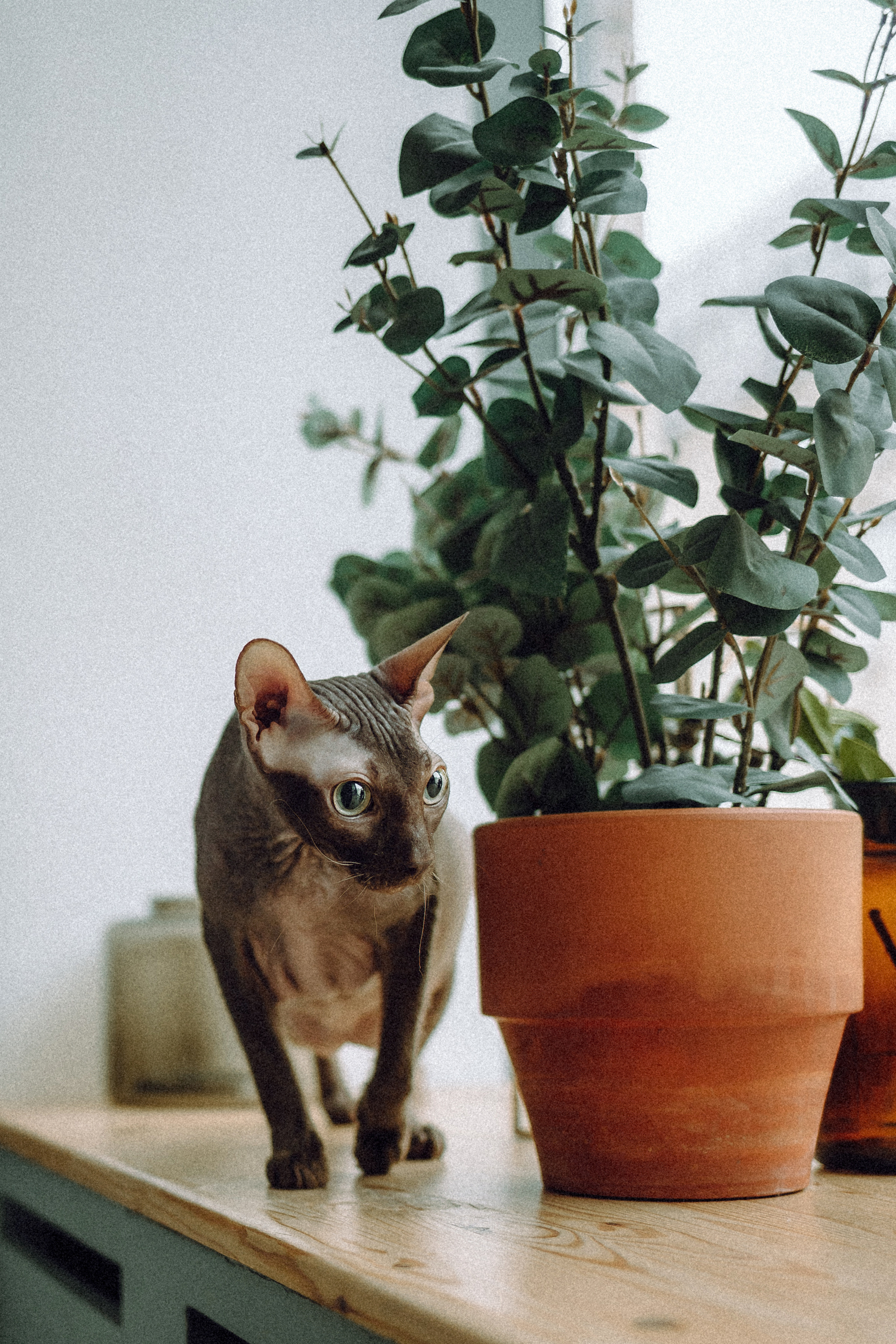 Марк, Челси, Маша и их семья