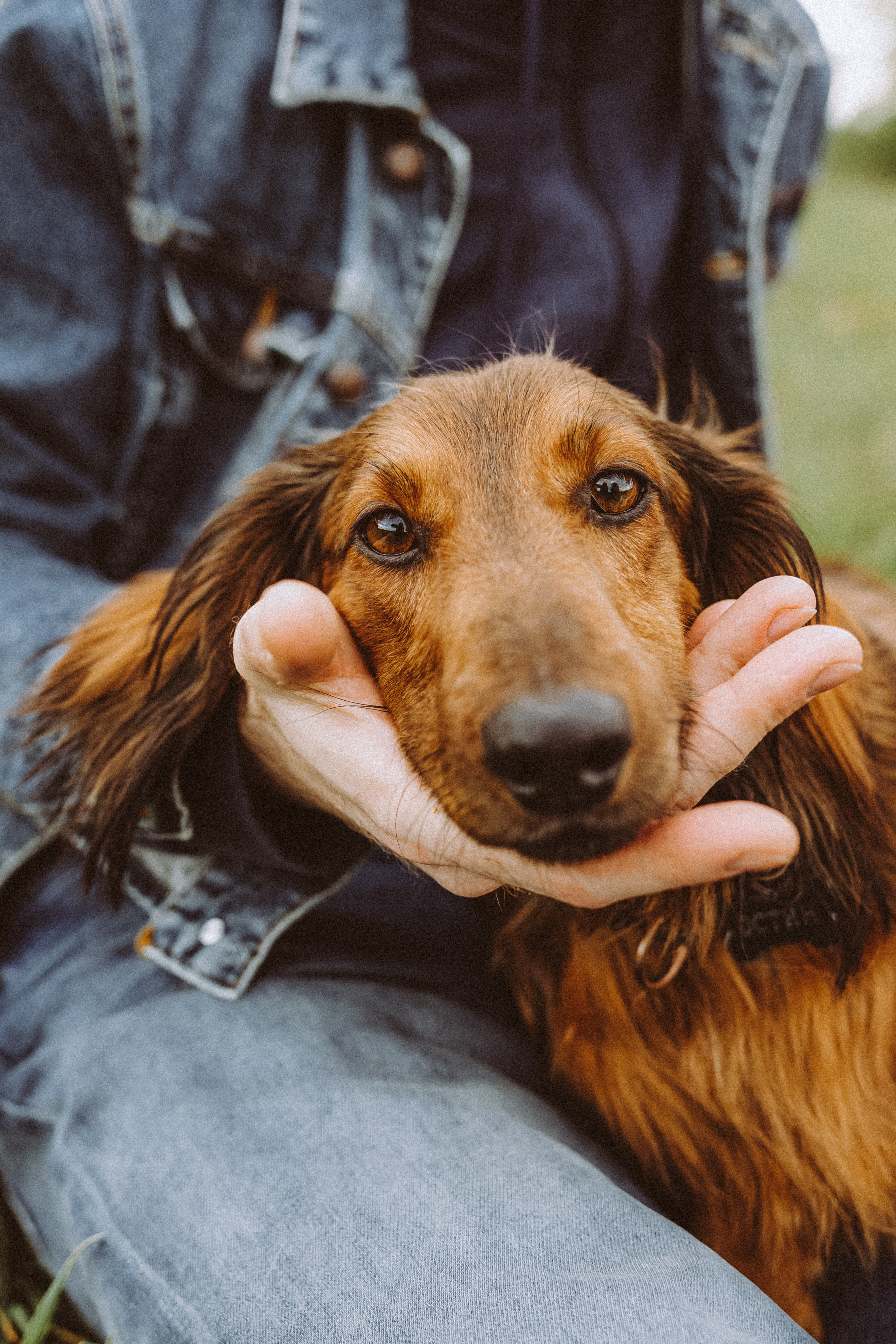 Джаз, Остин и их семья