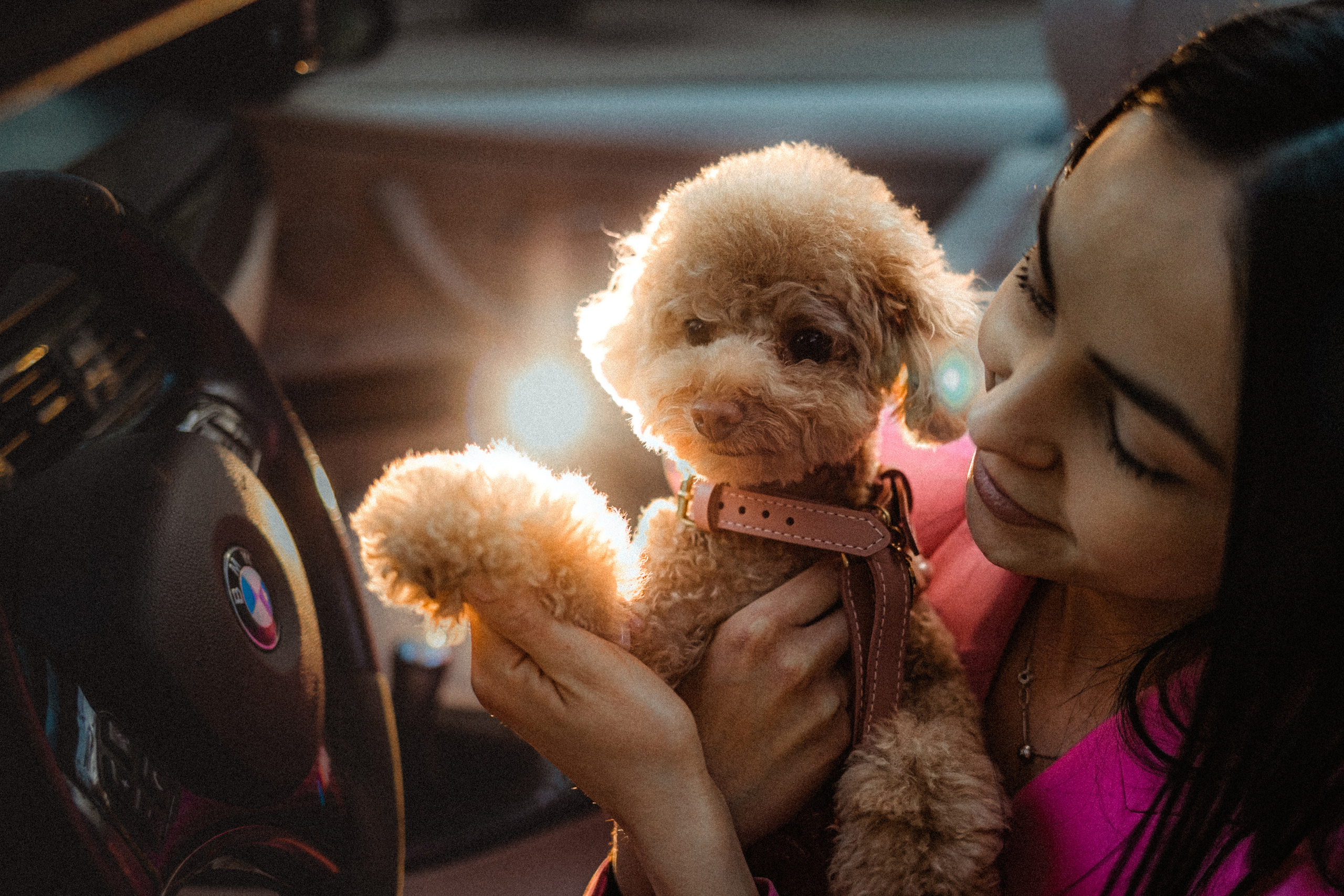 Даша и Глаша