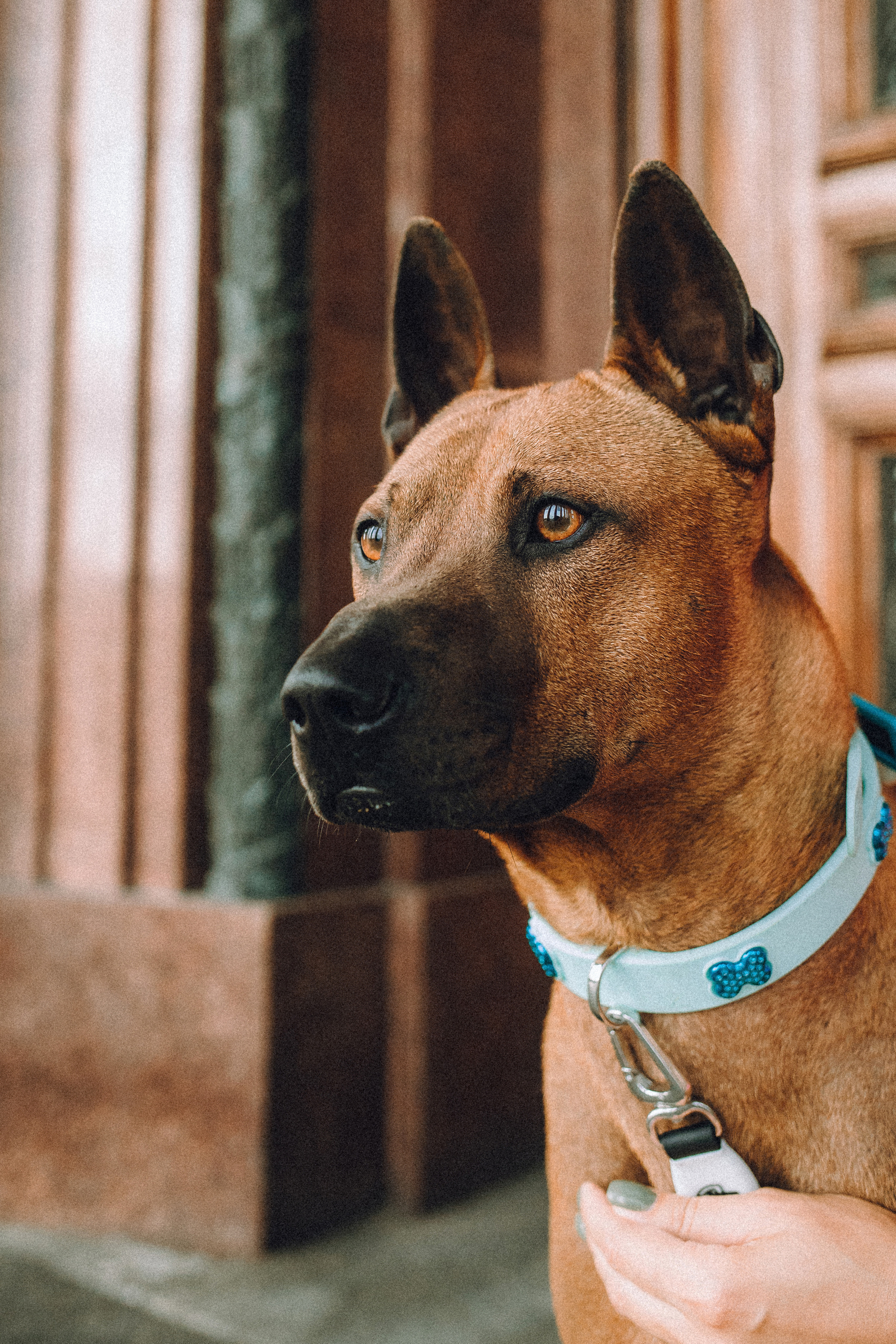 Оксана и Зевс