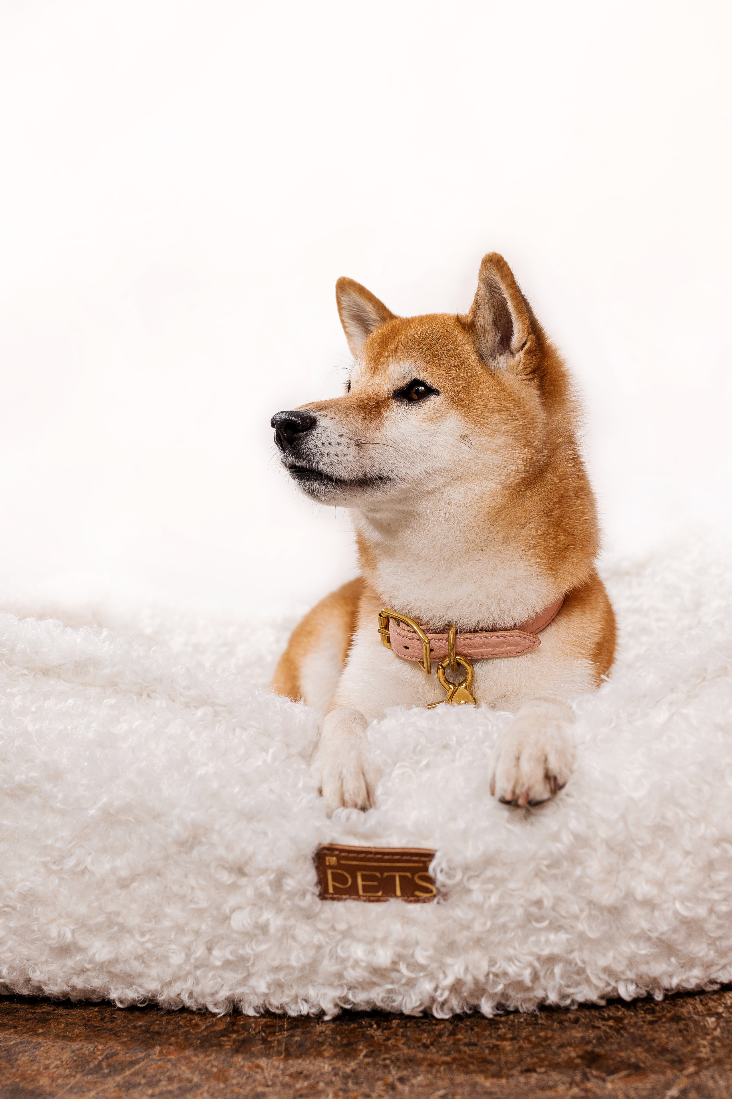 Съемка для MGM