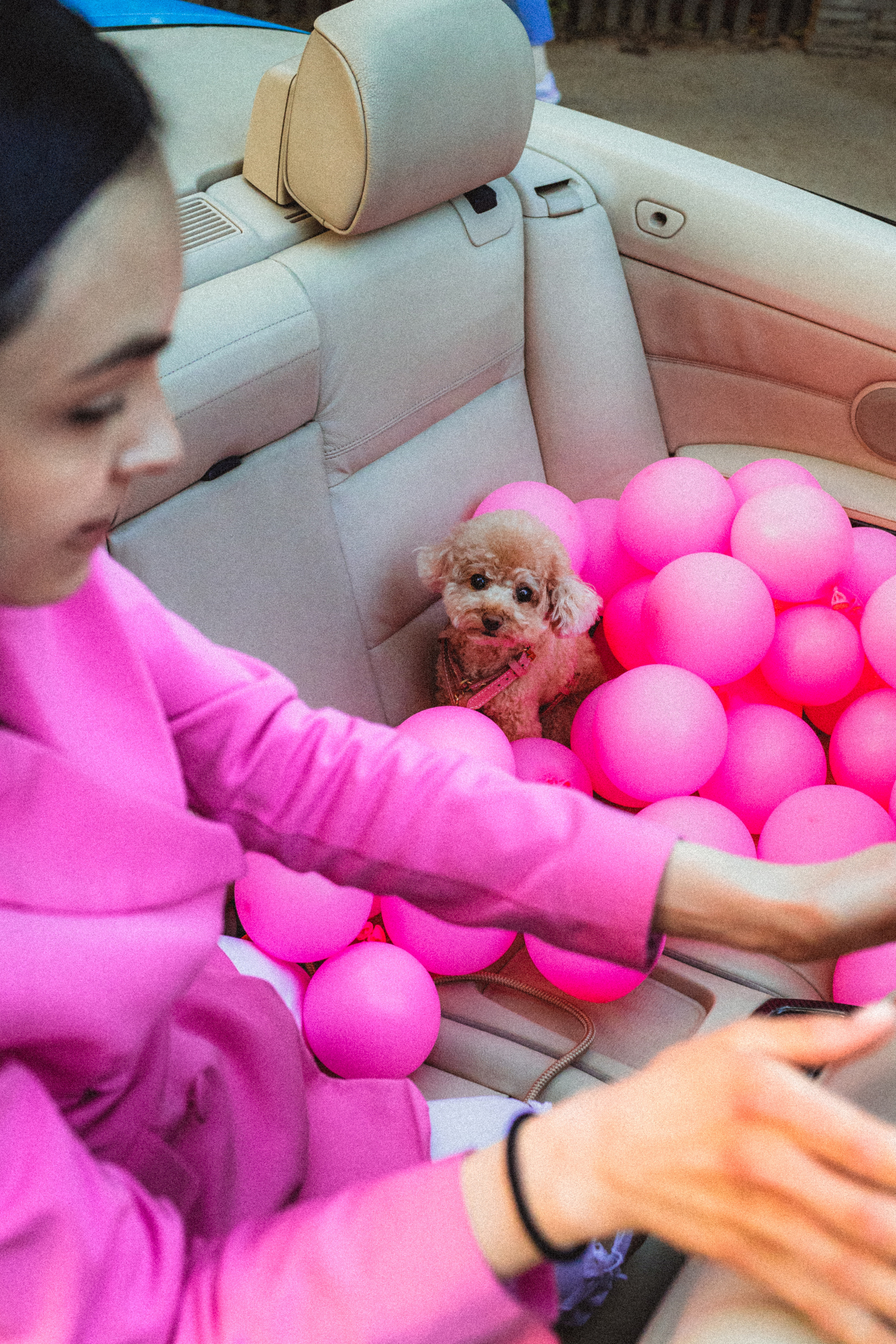 Даша и Глаша