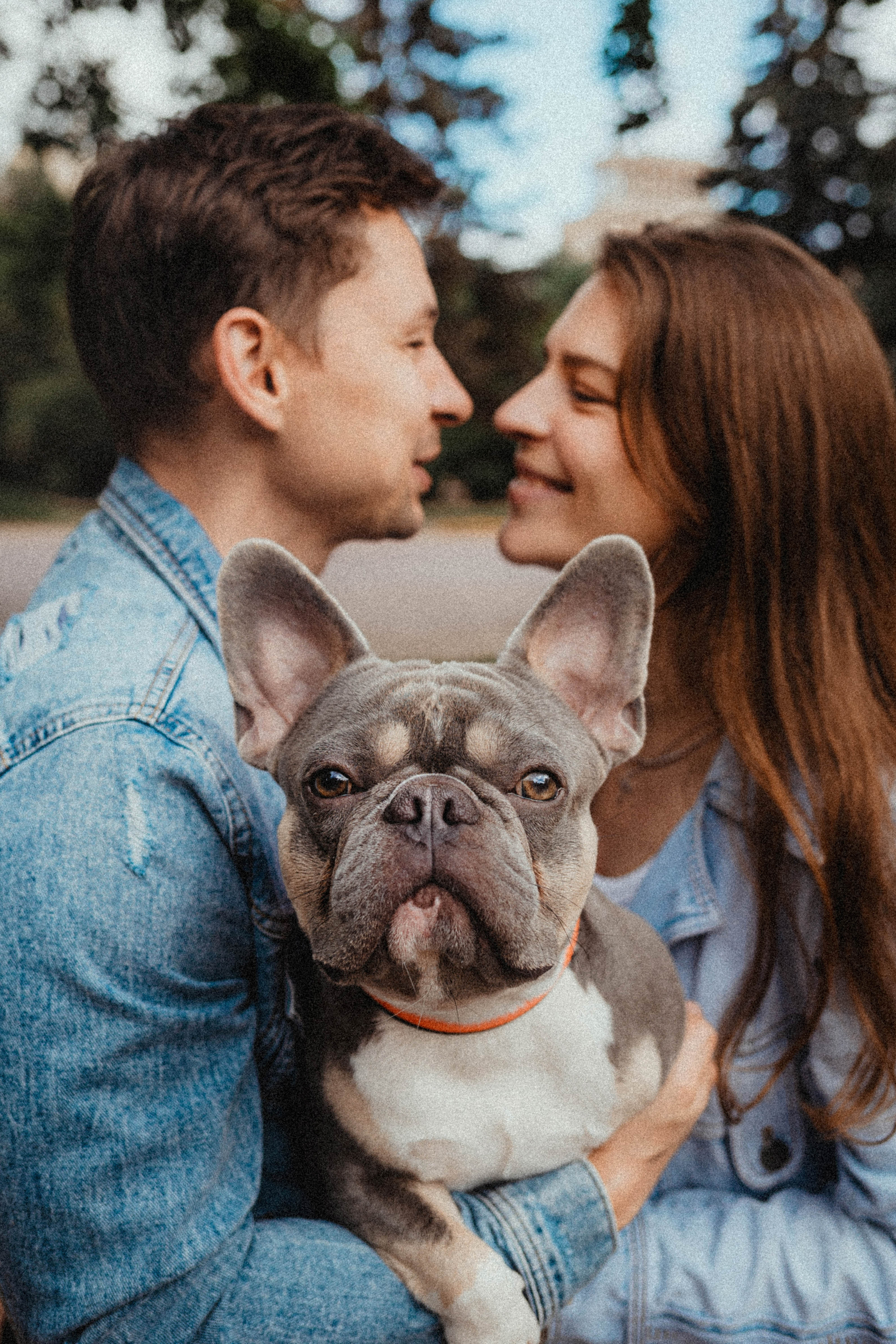 Регина, Сережа и Шелдон