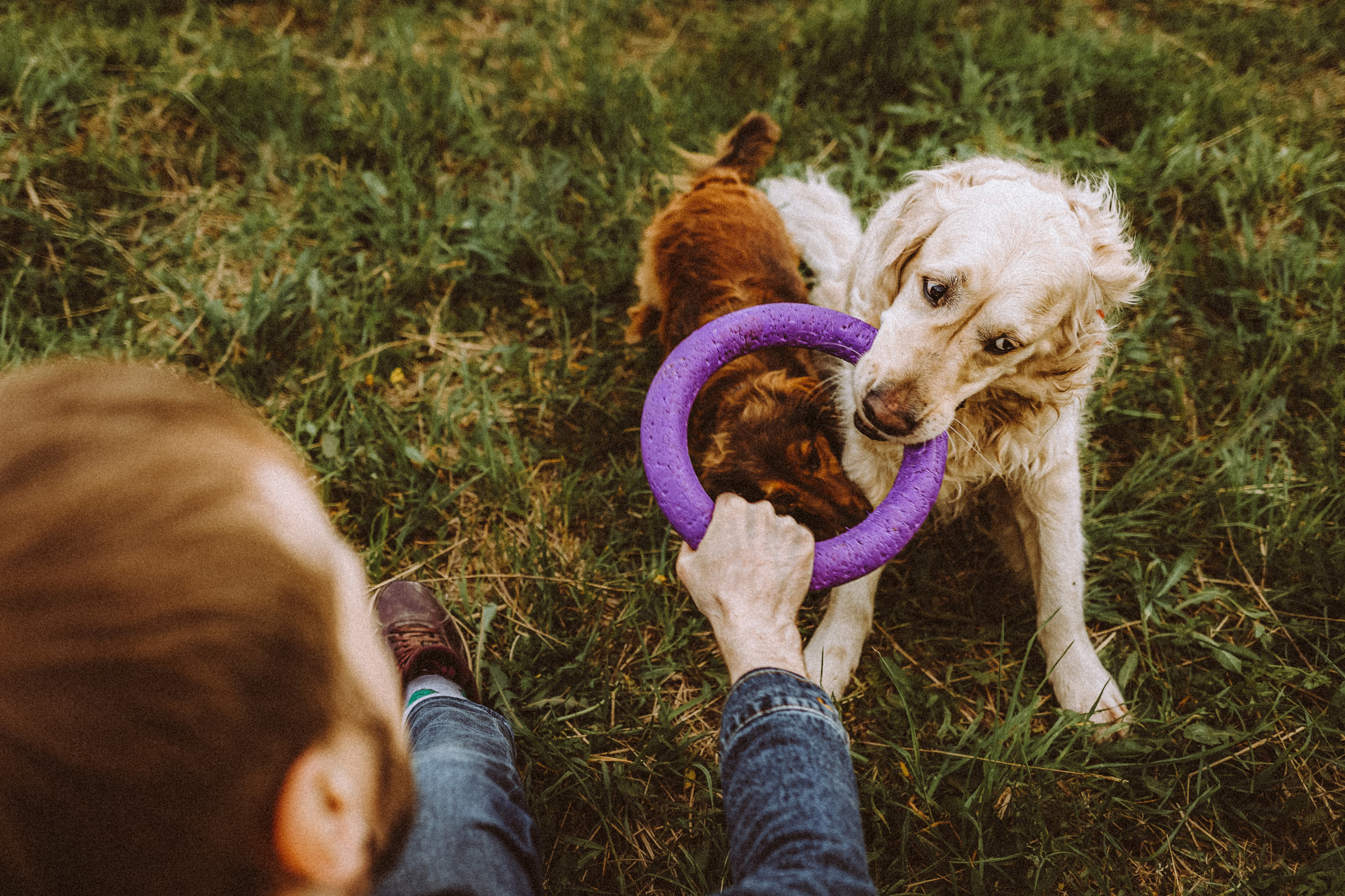 Джаз, Остин и их семья