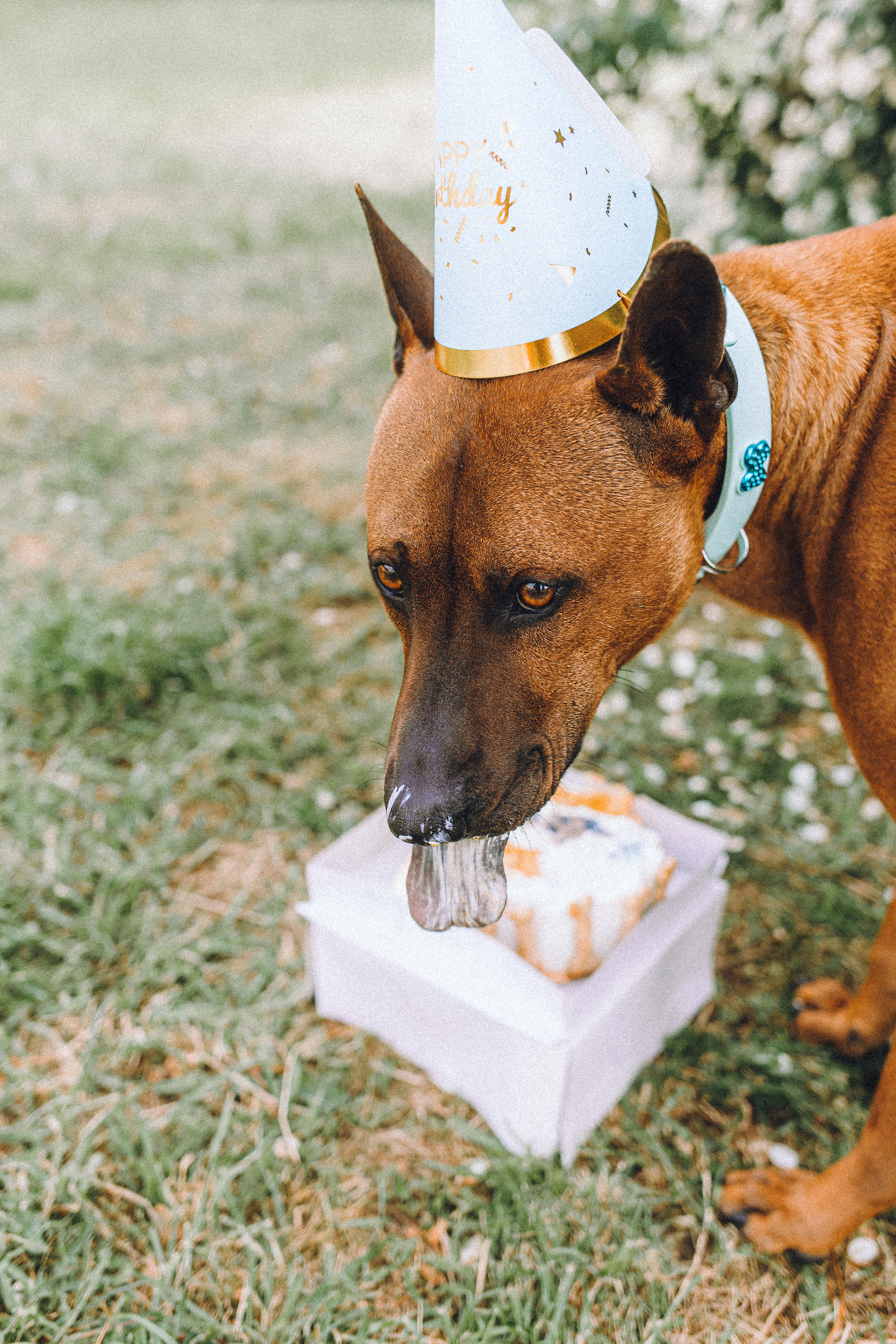 Оксана и Зевс