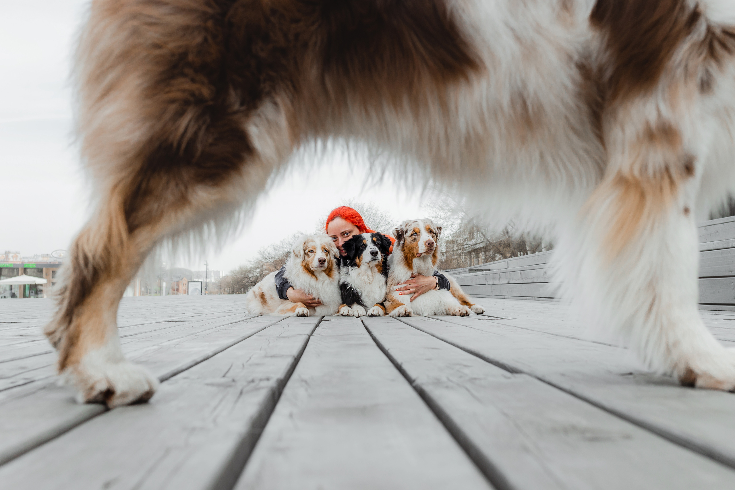 Маша и ее семья