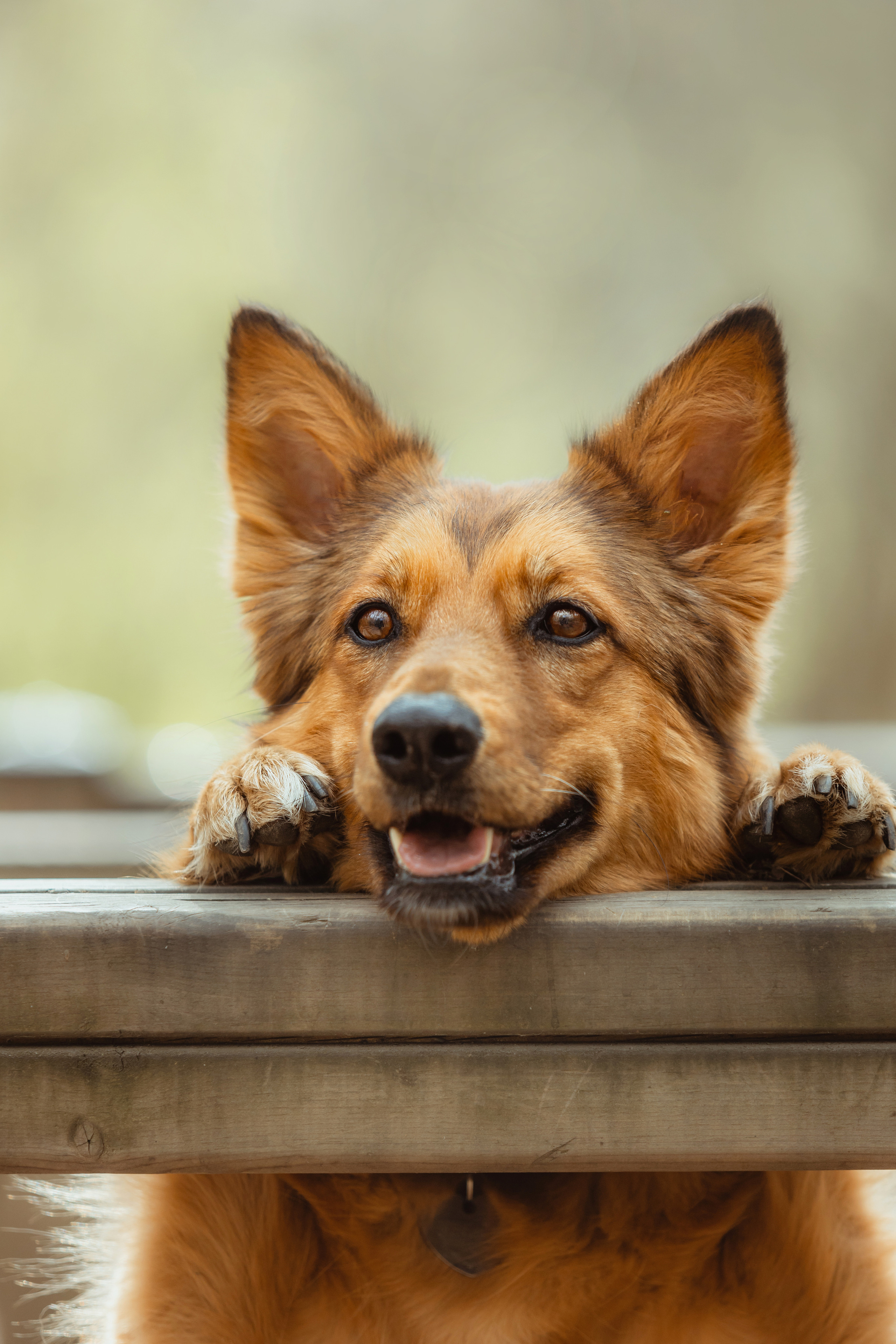 Ирина и Ника